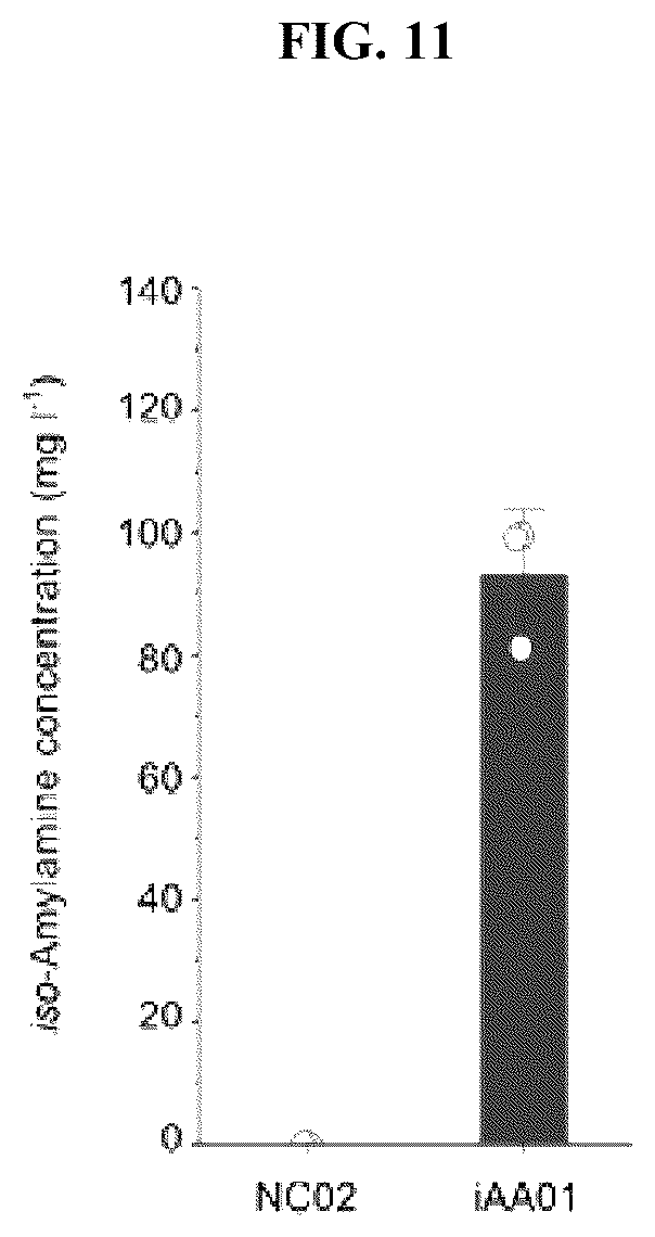 Patent US12104192 Figure 11 – Method of preparing primary amines from amino acids using enzymatic conversion