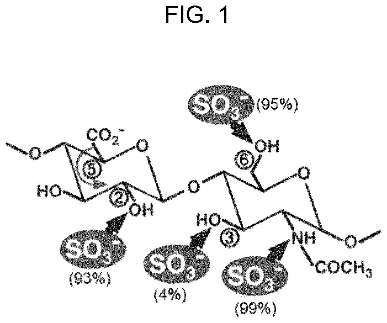 Patent US12104193 Figure 1 – Method for enzymatic sulfurylation of alcohols and amines using bacterium of the family Enterobacteriaceae