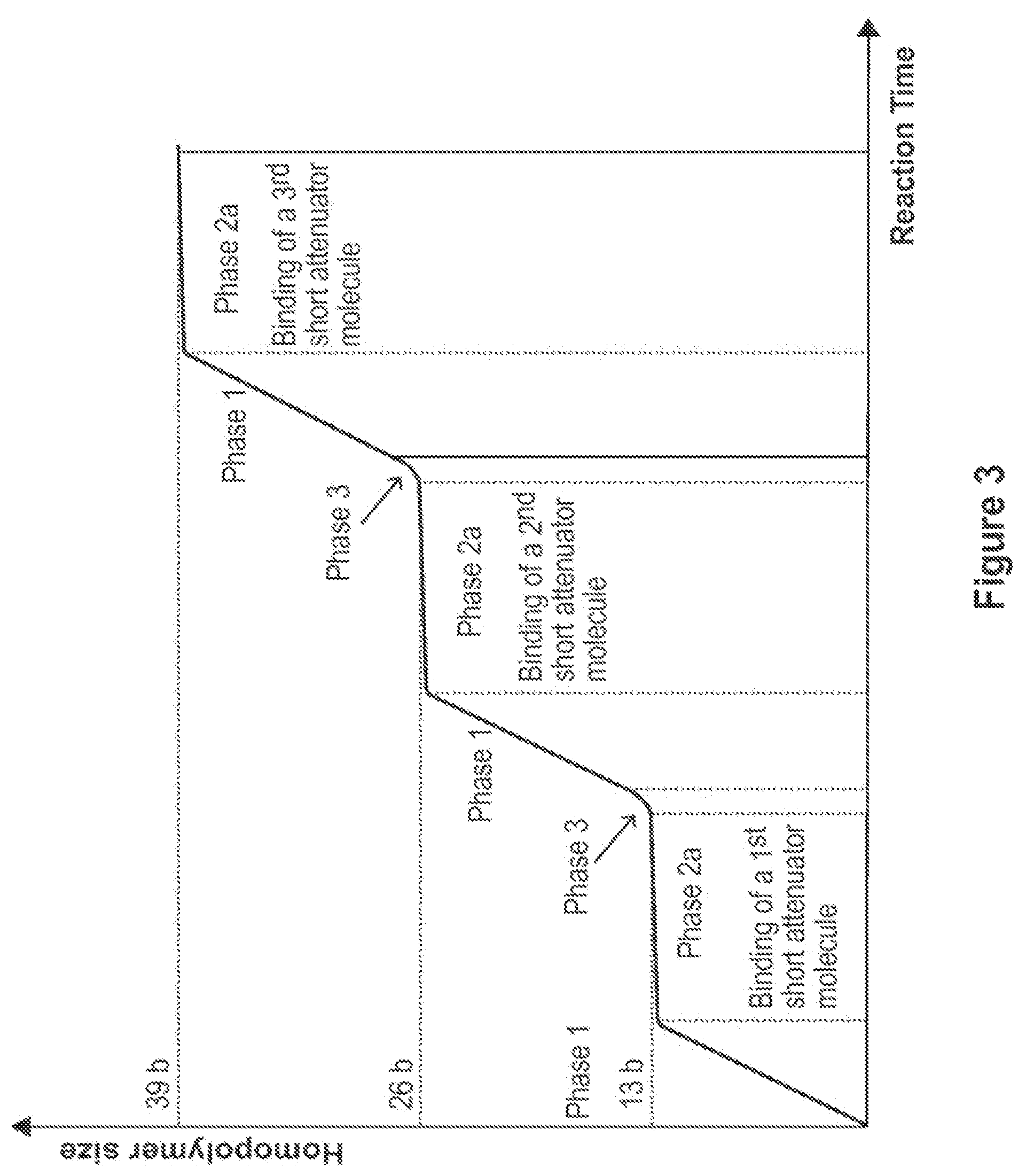 Patent US12104194 Figure 3 – Methods and compositions for size-controlled homopolymer tailing of substrate polynucleotides by a nucleic acid polymerase