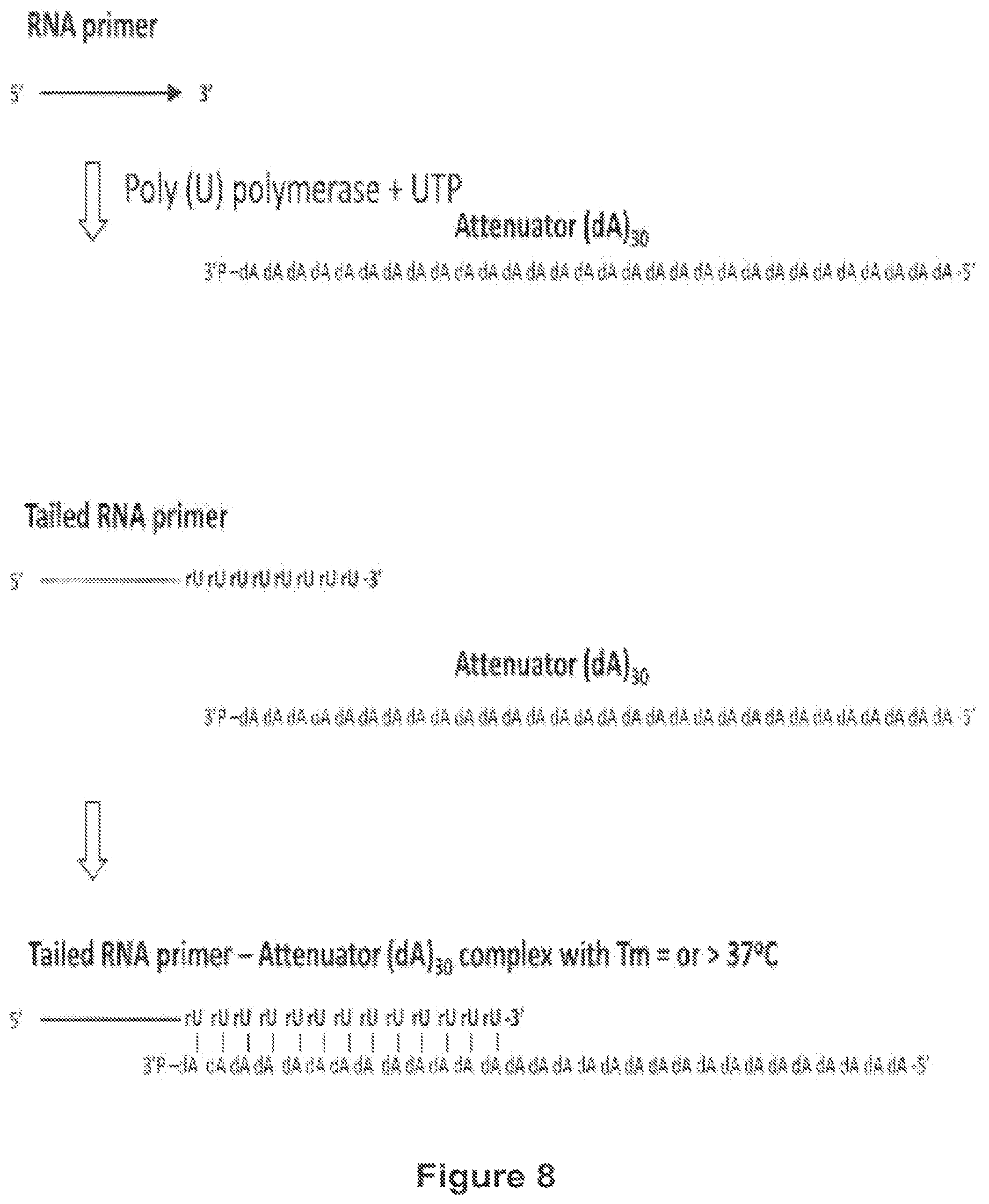 Patent US12104194 Figure 8 – Methods and compositions for size-controlled homopolymer tailing of substrate polynucleotides by a nucleic acid polymerase