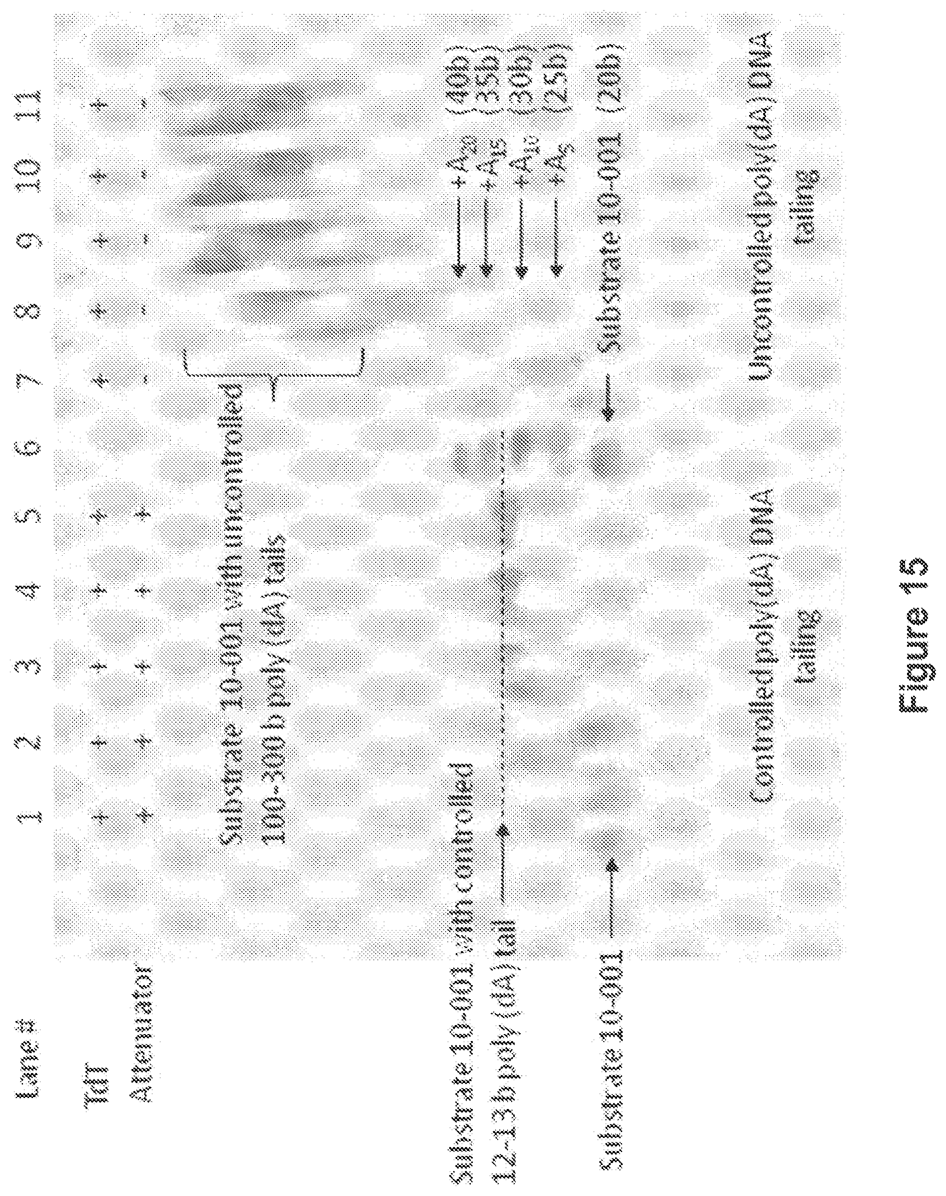 Patent US12104194 Figure 15 – Methods and compositions for size-controlled homopolymer tailing of substrate polynucleotides by a nucleic acid polymerase