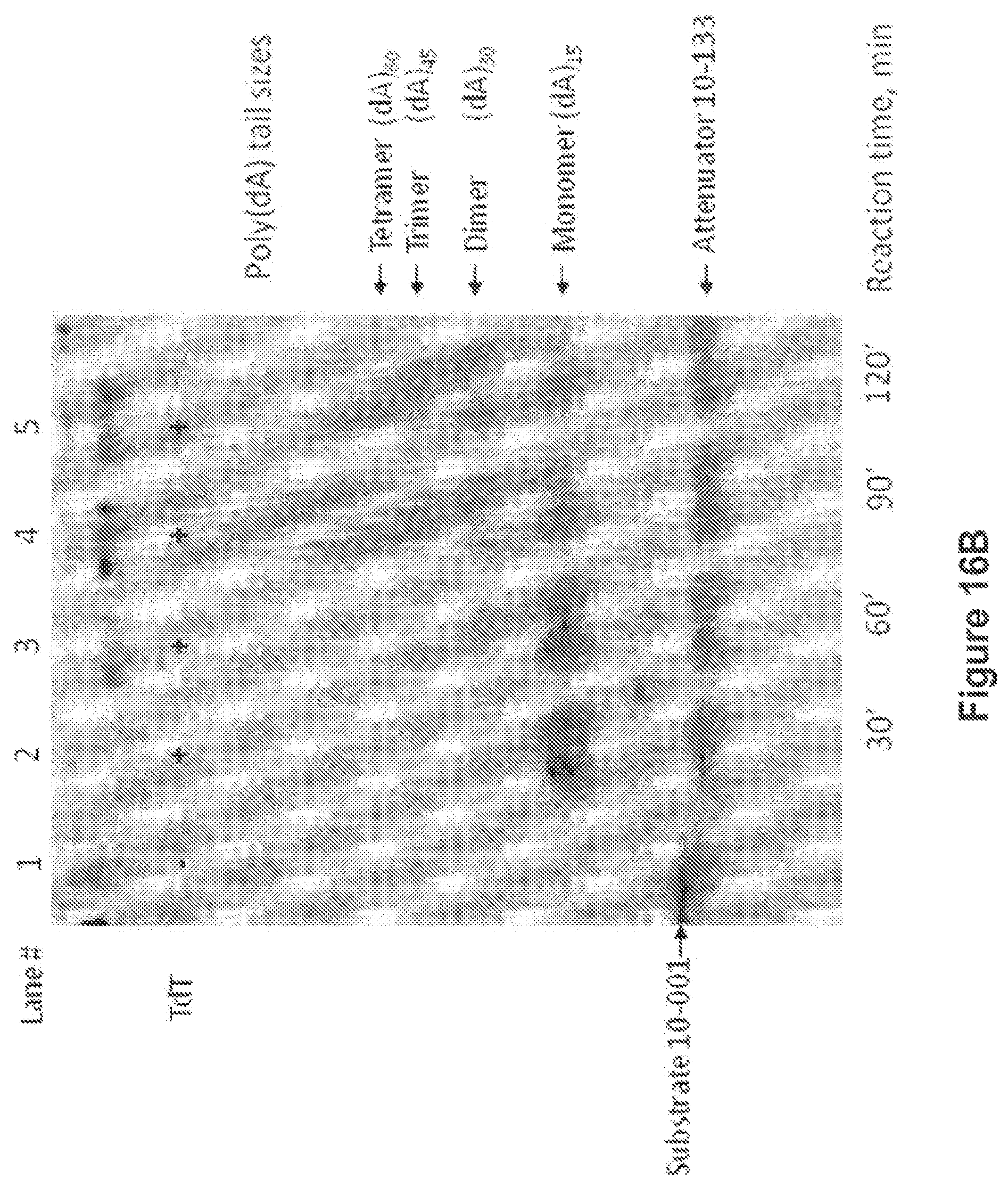 Patent US12104194 Figure 17 – Methods and compositions for size-controlled homopolymer tailing of substrate polynucleotides by a nucleic acid polymerase