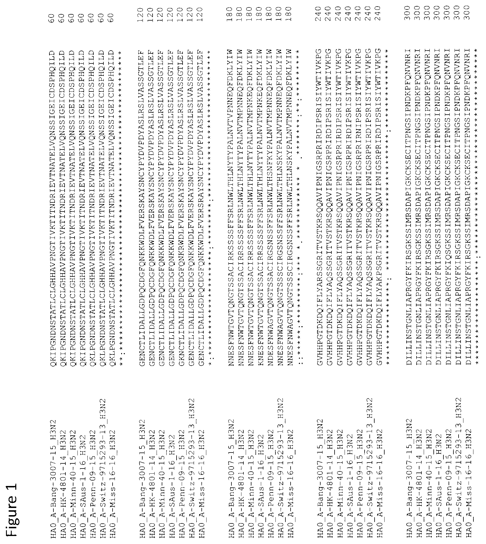 Patent US12104196 Figure 1 – Influenza virus hemagglutinin mutants
