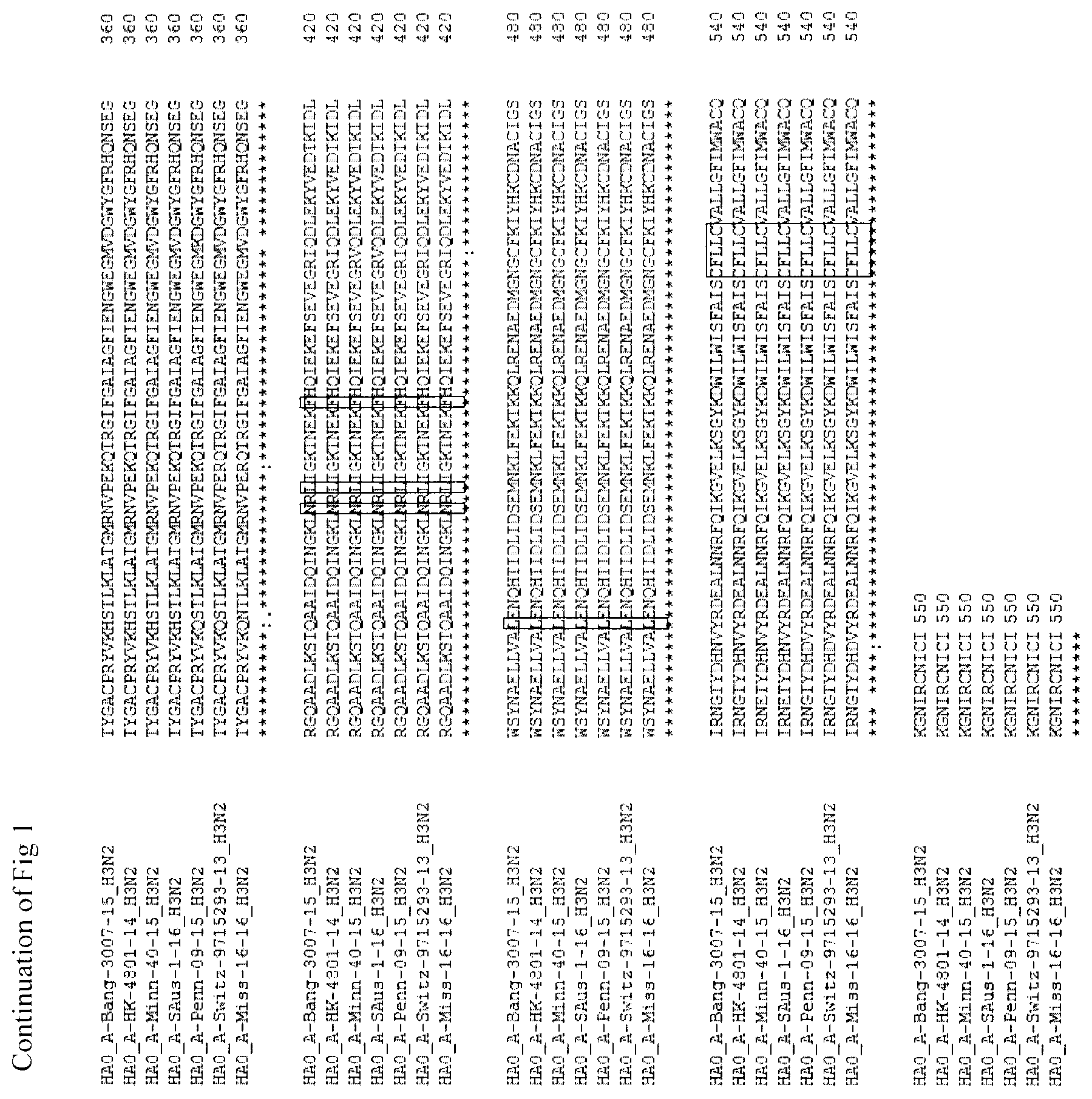 Patent US12104196 Figure 2 – Influenza virus hemagglutinin mutants