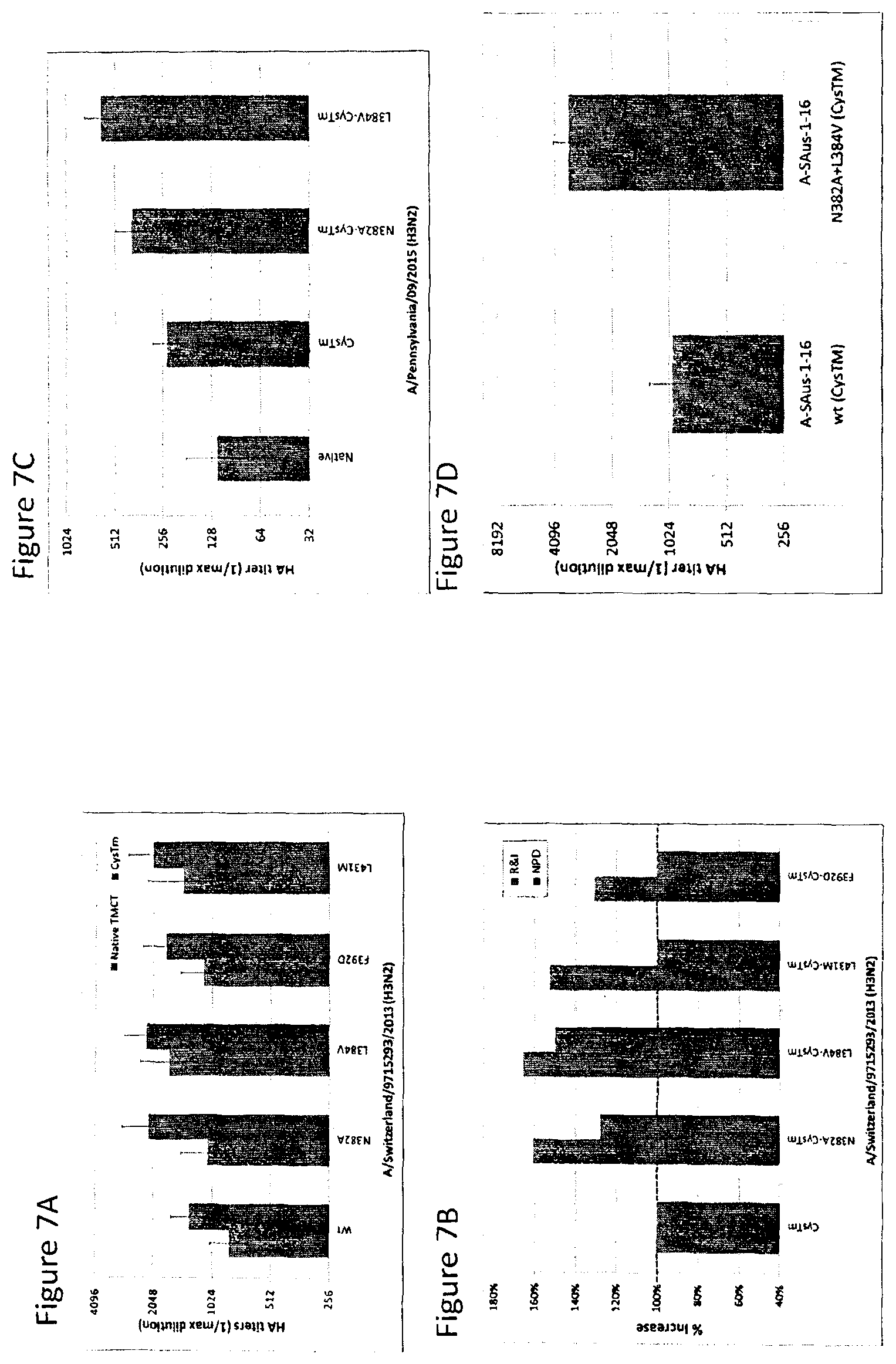 Patent US12104196 Figure 8 – Influenza virus hemagglutinin mutants