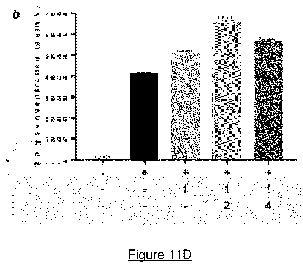 Patent US12104198 Figure 18 – Restoring function of tumour acidified T cells