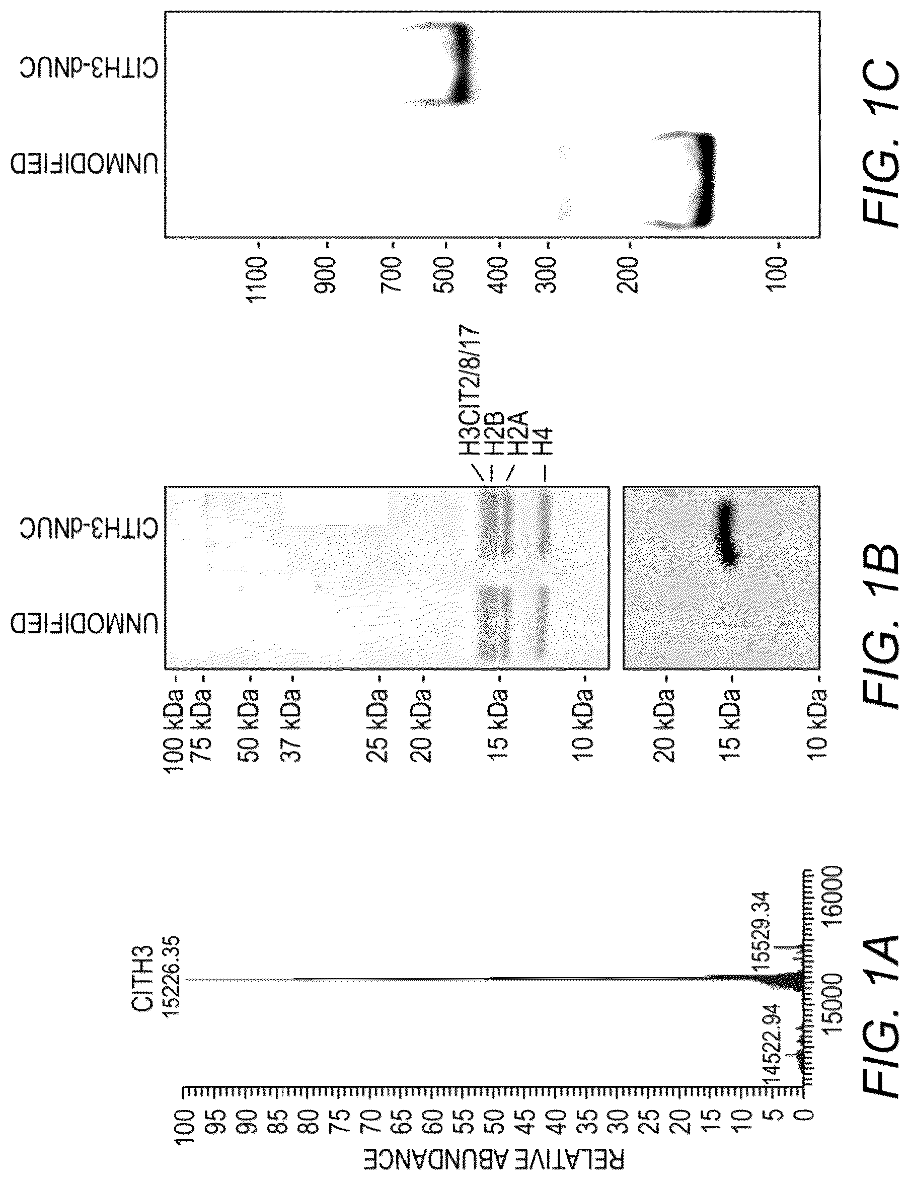 Patent US12104199 Figure 1 – Quantification of nucleosome modifications using chemically-defined recombinant nucleosomes