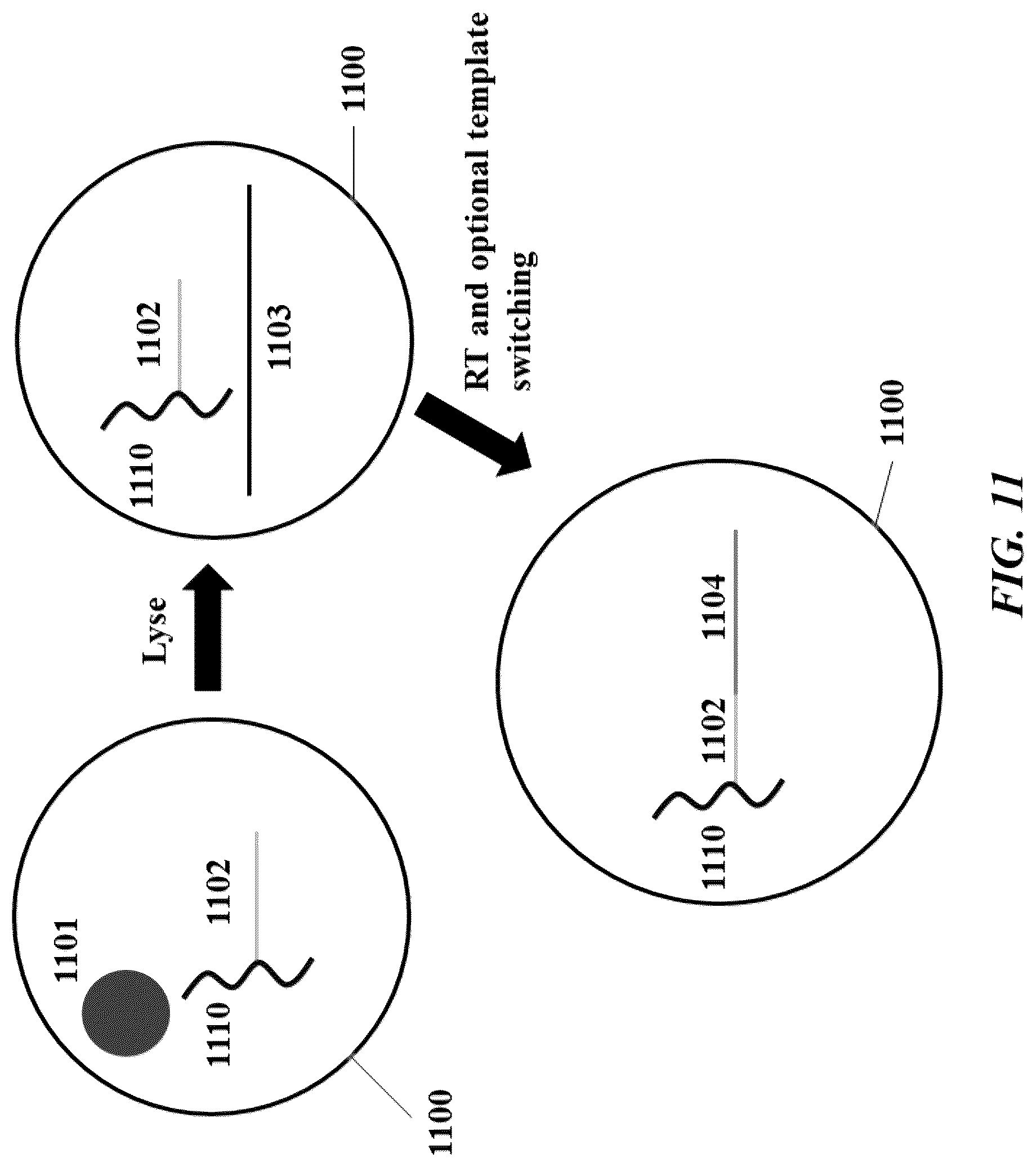 Patent US12104200 Figure 11 – Systems and methods for processing nucleic acid molecules from one or more cells