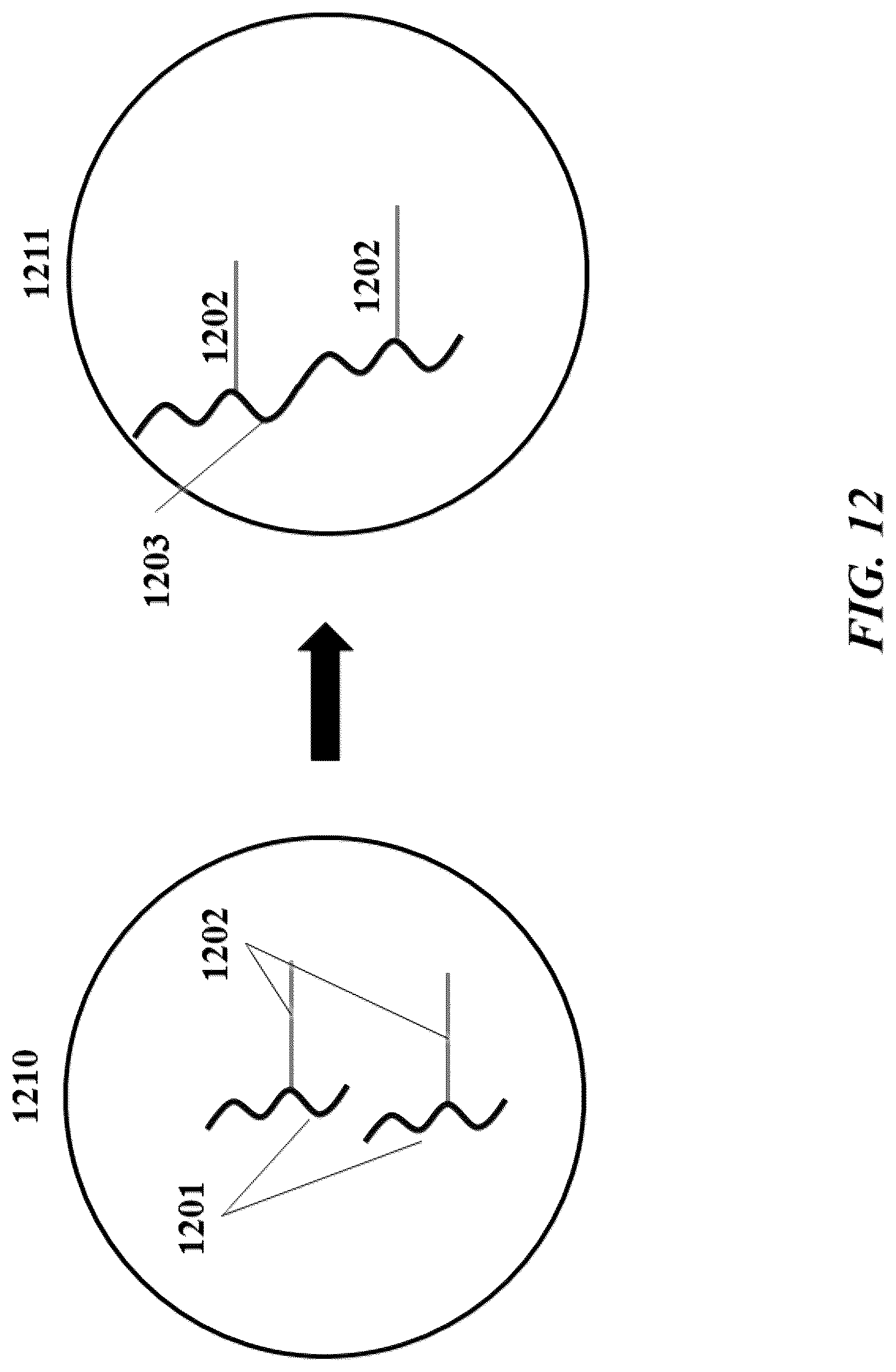 Patent US12104200 Figure 12 – Systems and methods for processing nucleic acid molecules from one or more cells
