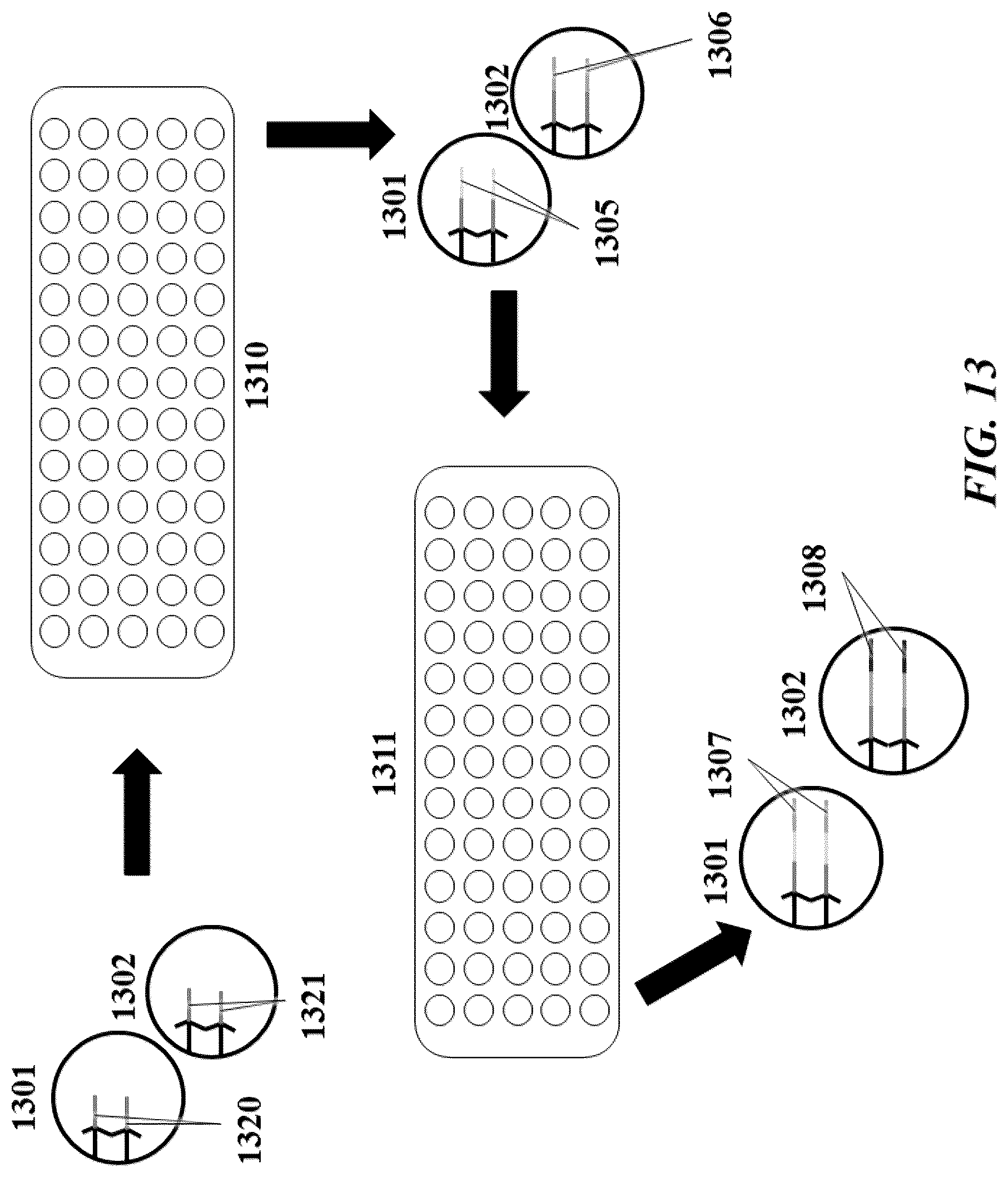 Patent US12104200 Figure 13 – Systems and methods for processing nucleic acid molecules from one or more cells