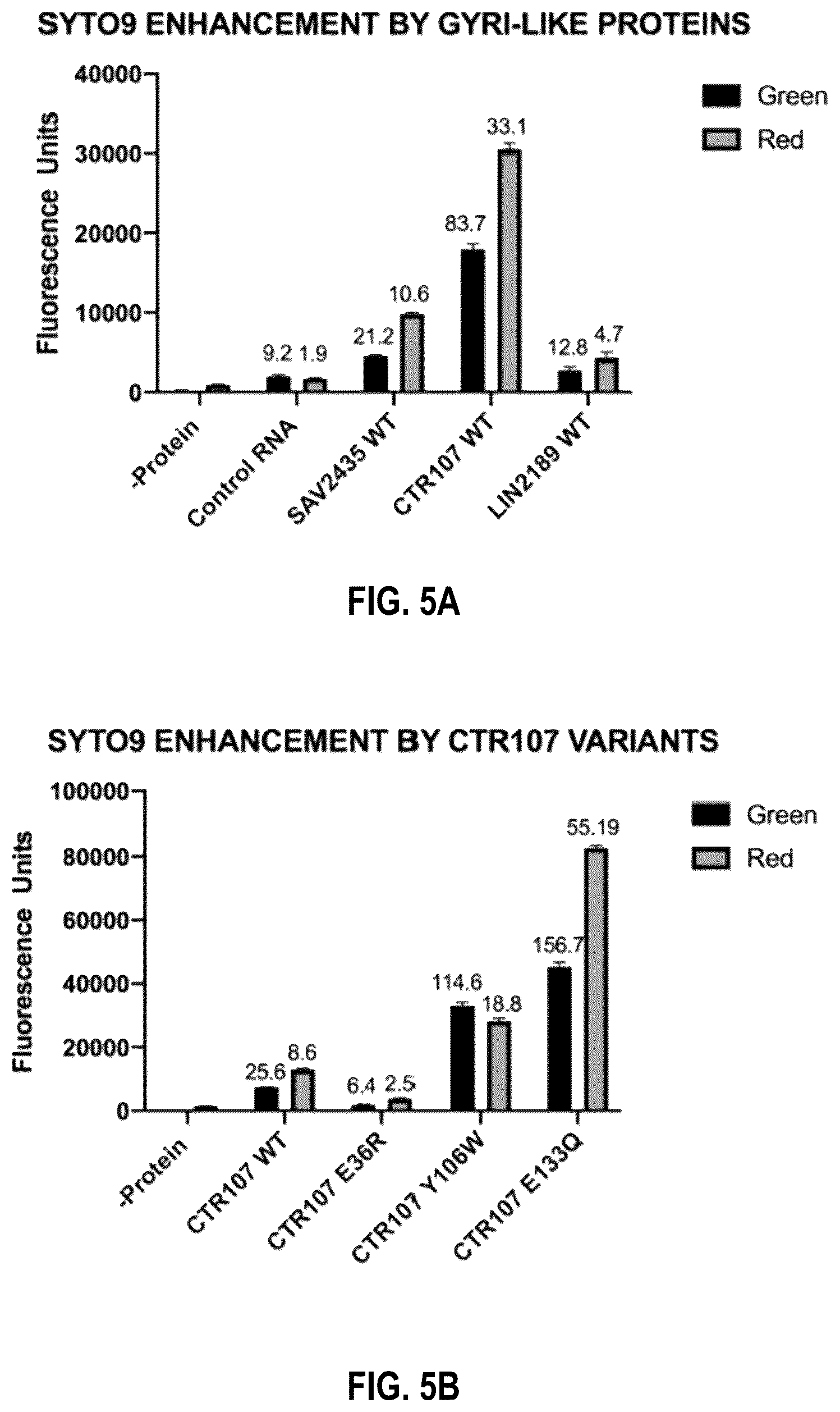 Patent US12104201 Figure 6 – Engineered gyri-like mutein aptamers, and related methods
