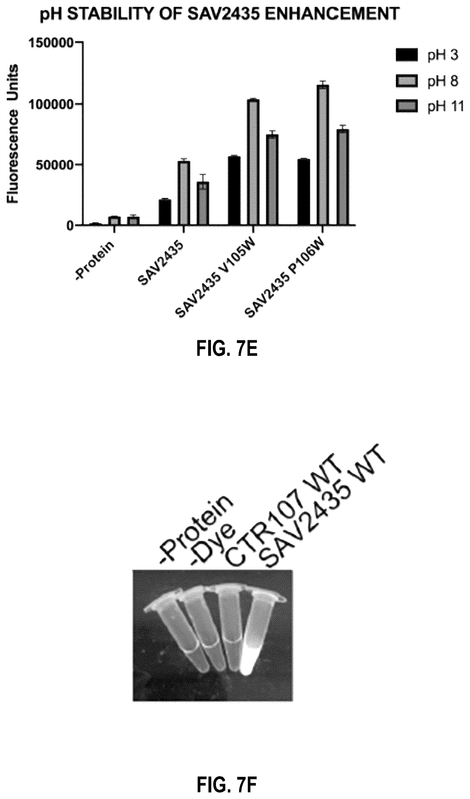 Patent US12104201 Figure 11 – Engineered gyri-like mutein aptamers, and related methods