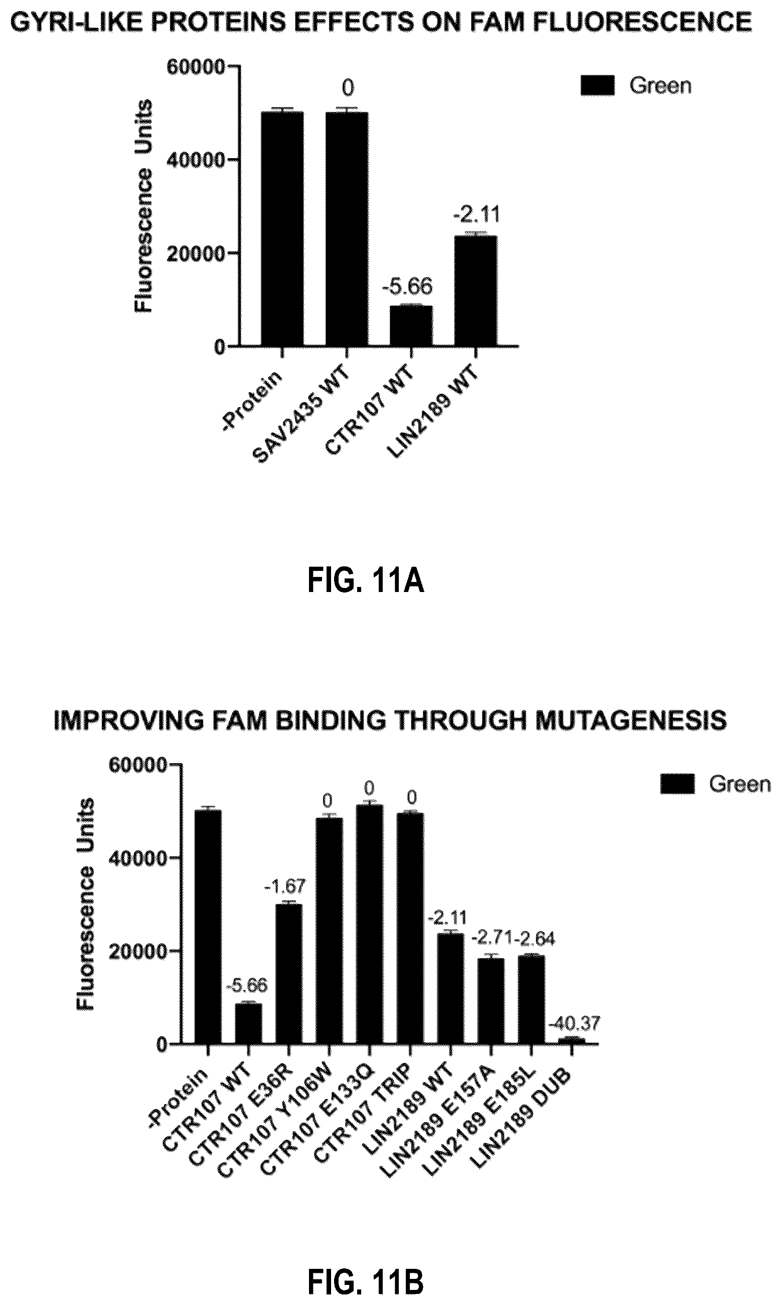 Patent US12104201 Figure 16 – Engineered gyri-like mutein aptamers, and related methods