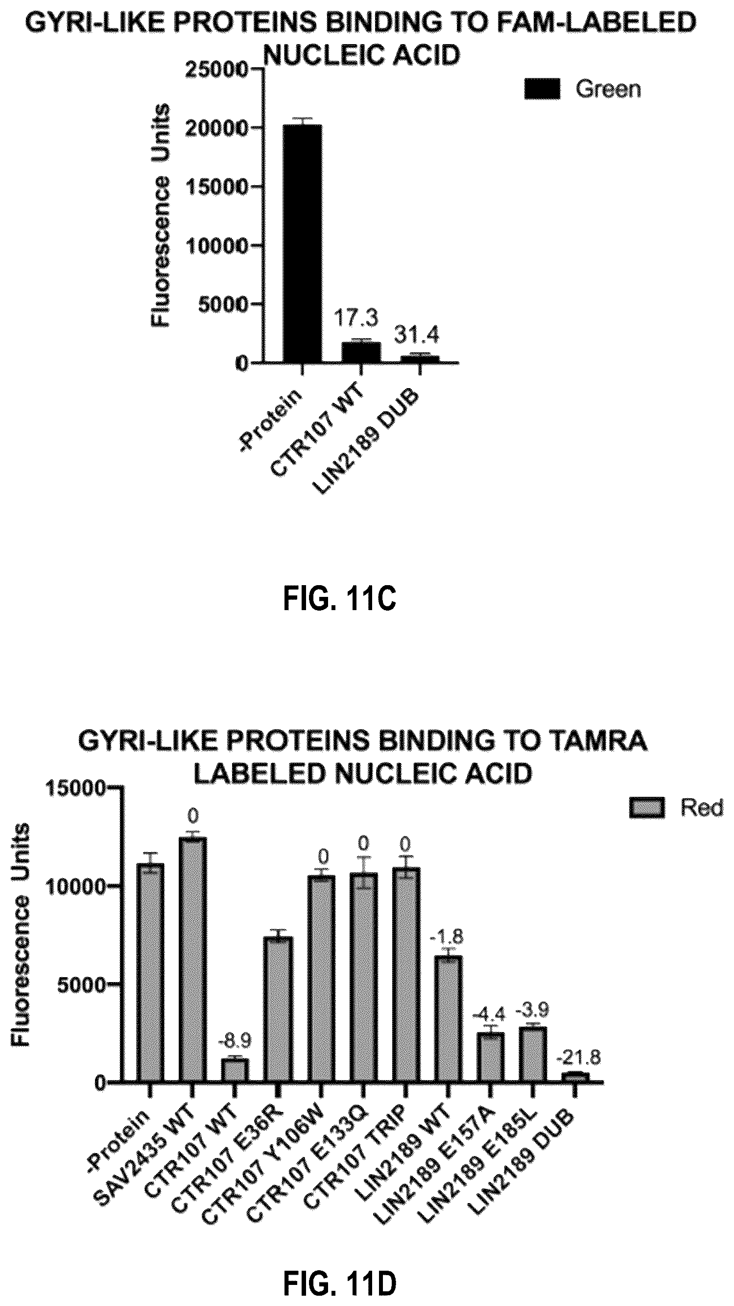 Patent US12104201 Figure 17 – Engineered gyri-like mutein aptamers, and related methods