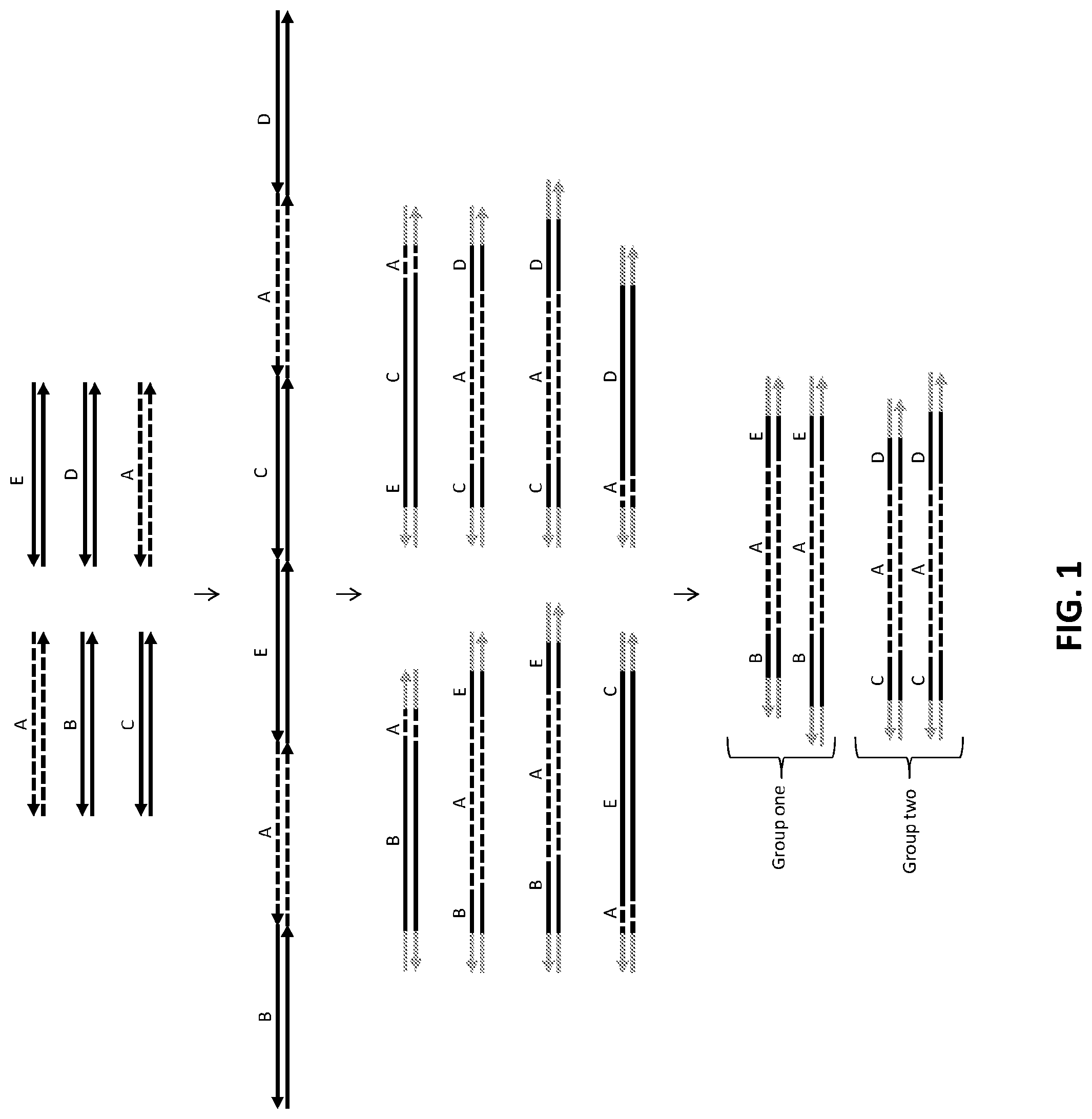 Patent US12104202 Figure 1 – Method of identifying sequence variants using concatenation