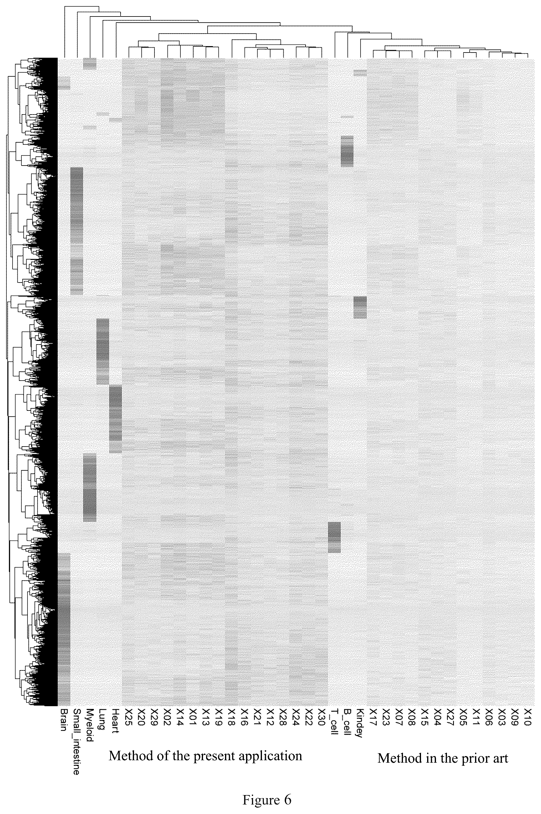 Patent US12104203 Figure 5 – Method for constructing library of cell-free DNAs in body fluids and application thereof