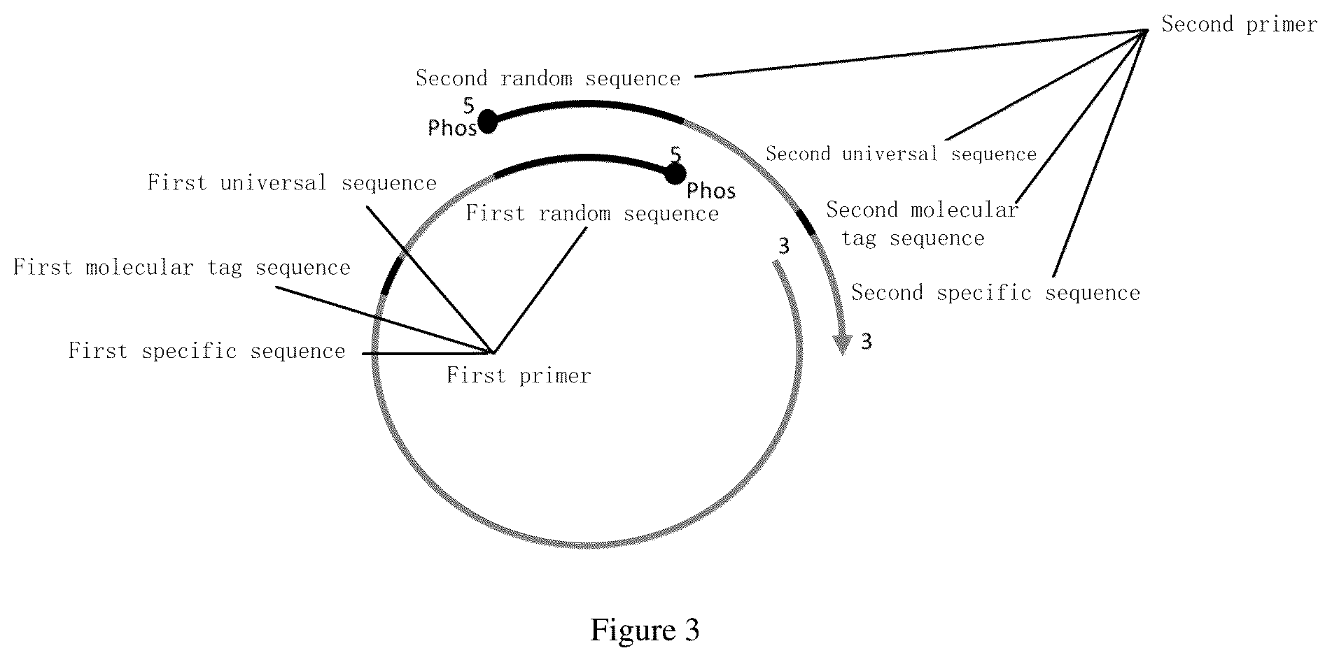Patent US12104205 Figure 3 – PCR primer pair and application thereof