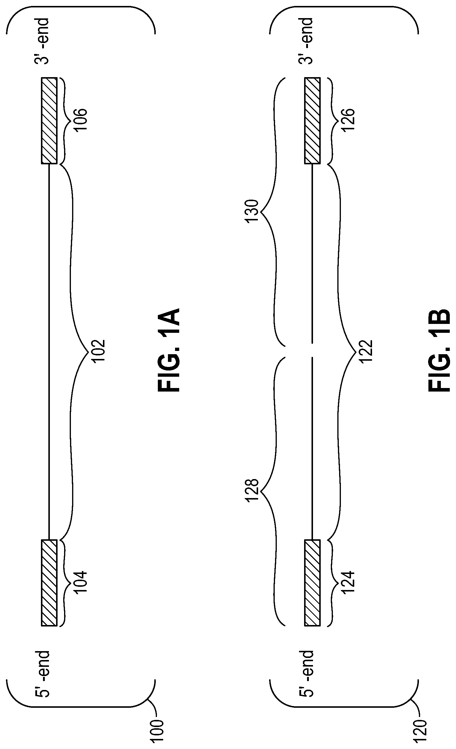 Patent US12104206 — Method of direct target sequencing using nuclease protection — Figure 1