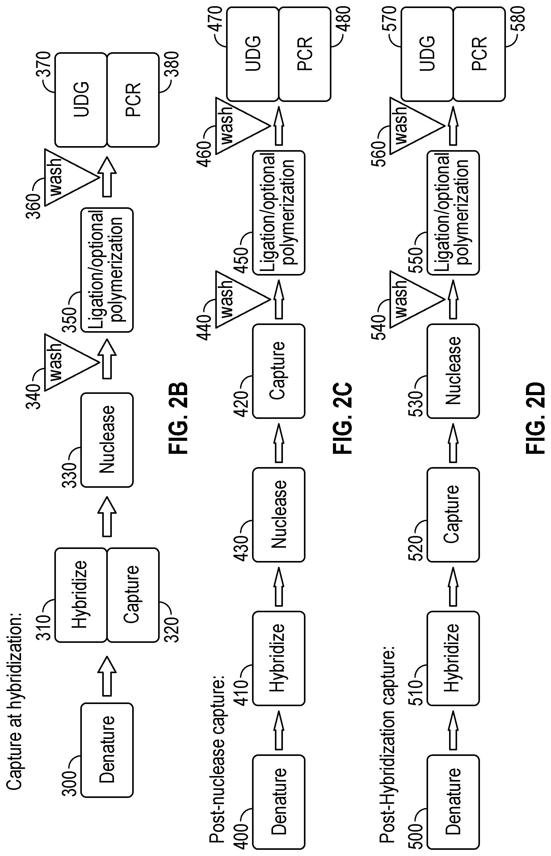Patent US12104206 Figure 3 – Method of direct target sequencing using nuclease protection