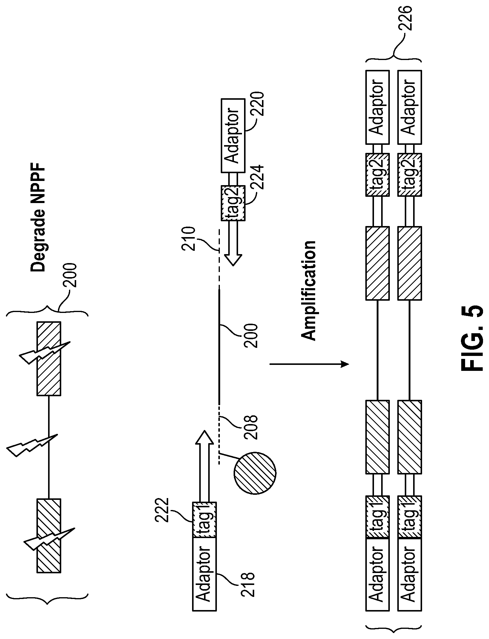 Patent US12104206 Figure 5 – Method of direct target sequencing using nuclease protection