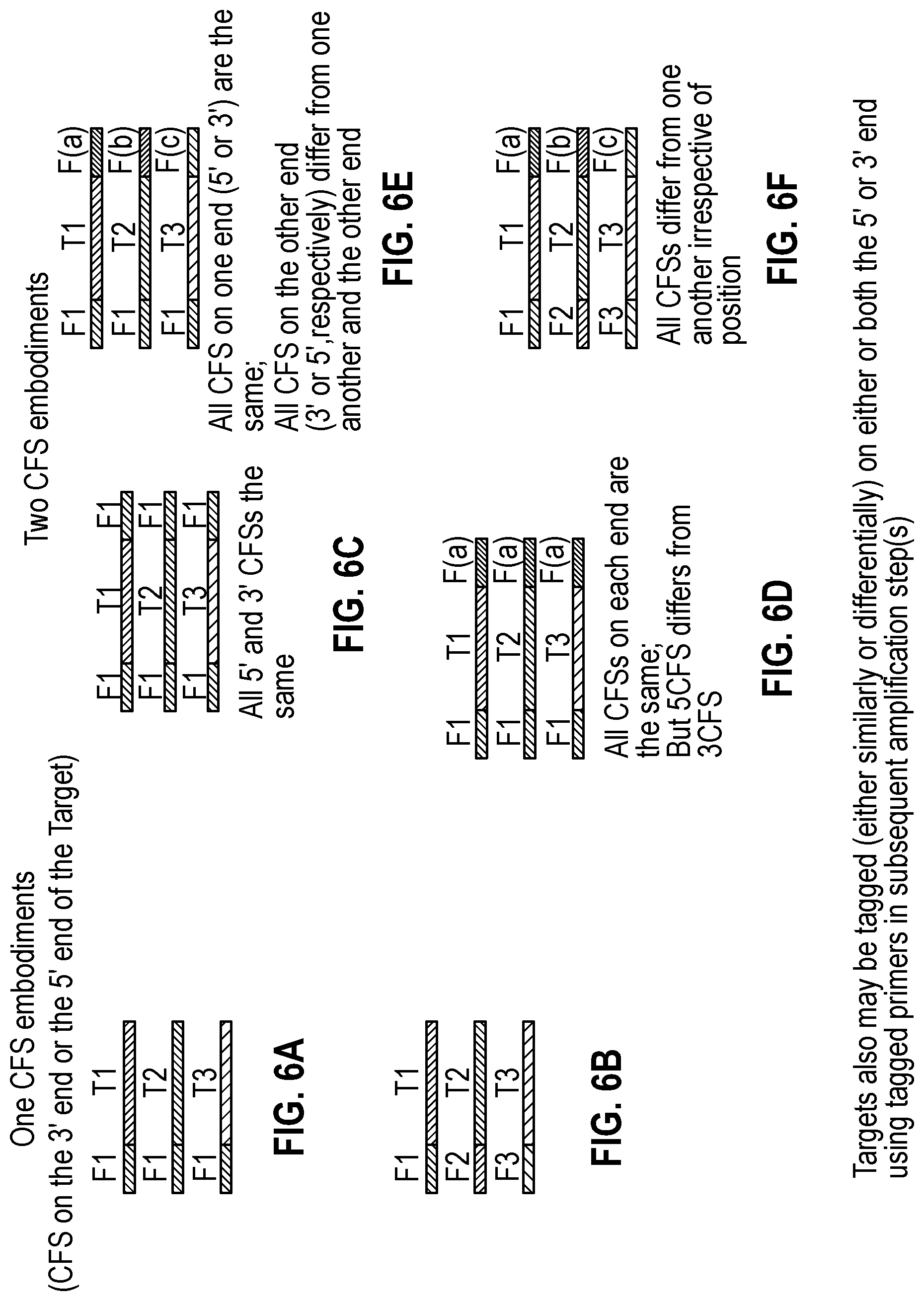 Patent US12104206 Figure 6 – Method of direct target sequencing using nuclease protection