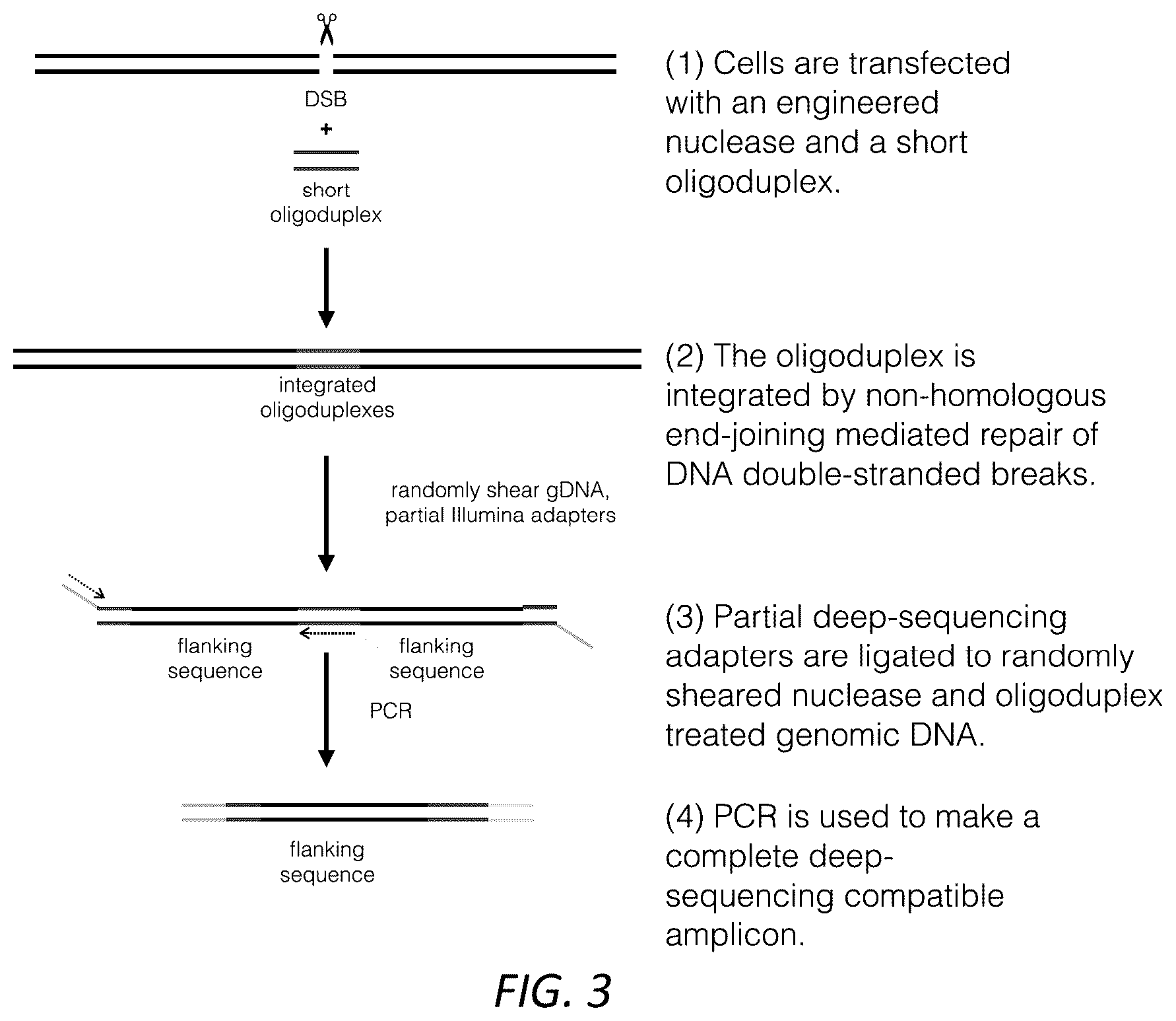 Patent US12104207 Figure 4 – Genomewide unbiased identification of DSBs evaluated by sequencing (GUIDE-Seq)