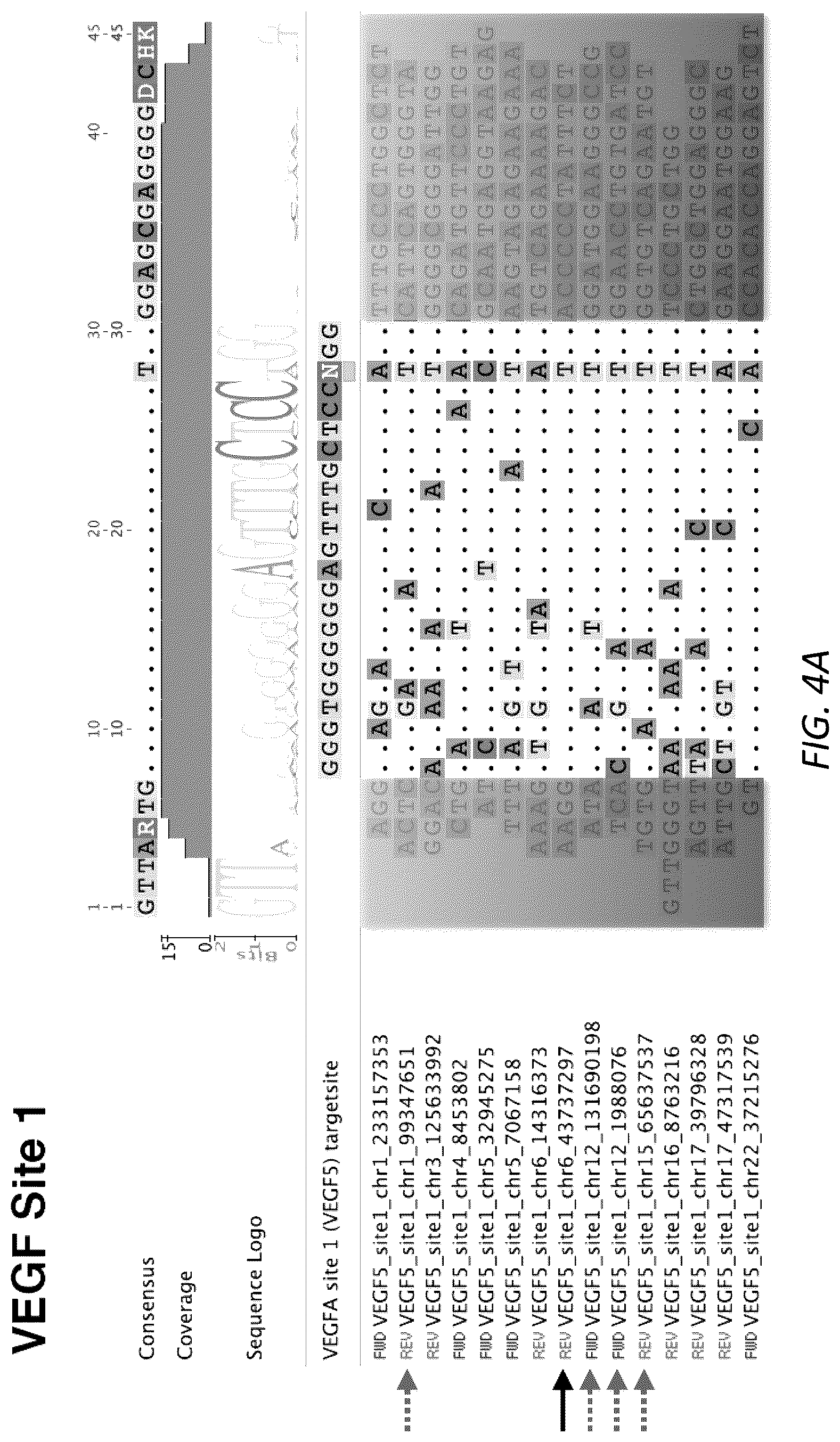 Patent US12104207 Figure 5 – Genomewide unbiased identification of DSBs evaluated by sequencing (GUIDE-Seq)