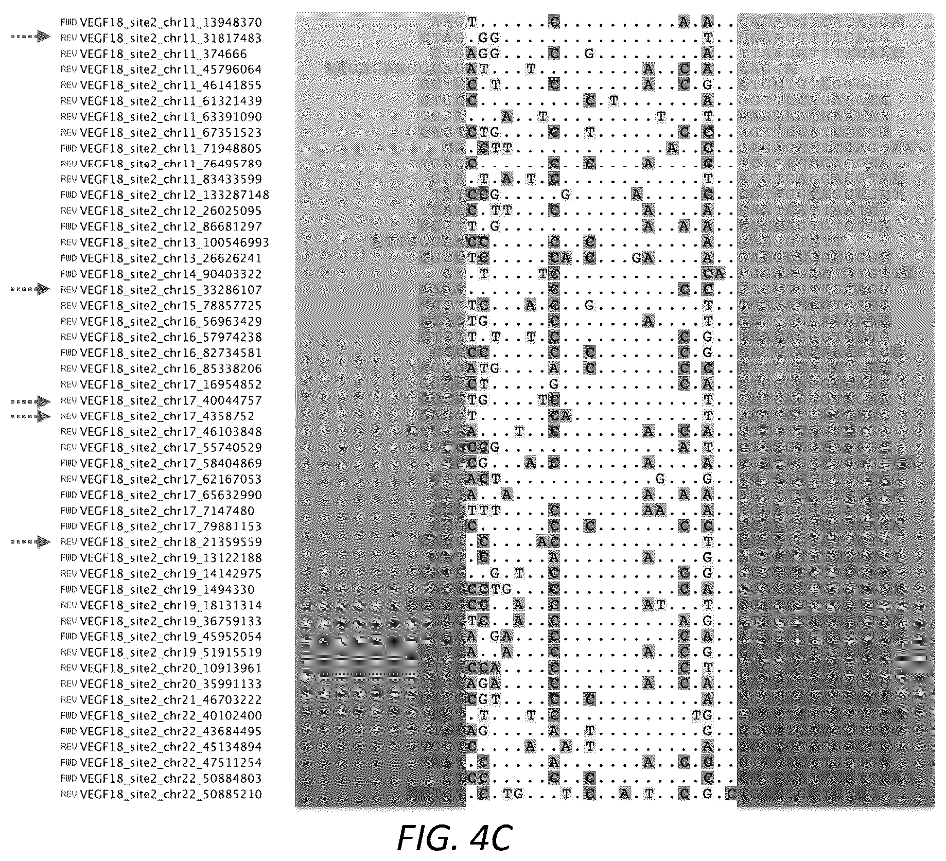 Patent US12104207 Figure 7 – Genomewide unbiased identification of DSBs evaluated by sequencing (GUIDE-Seq)