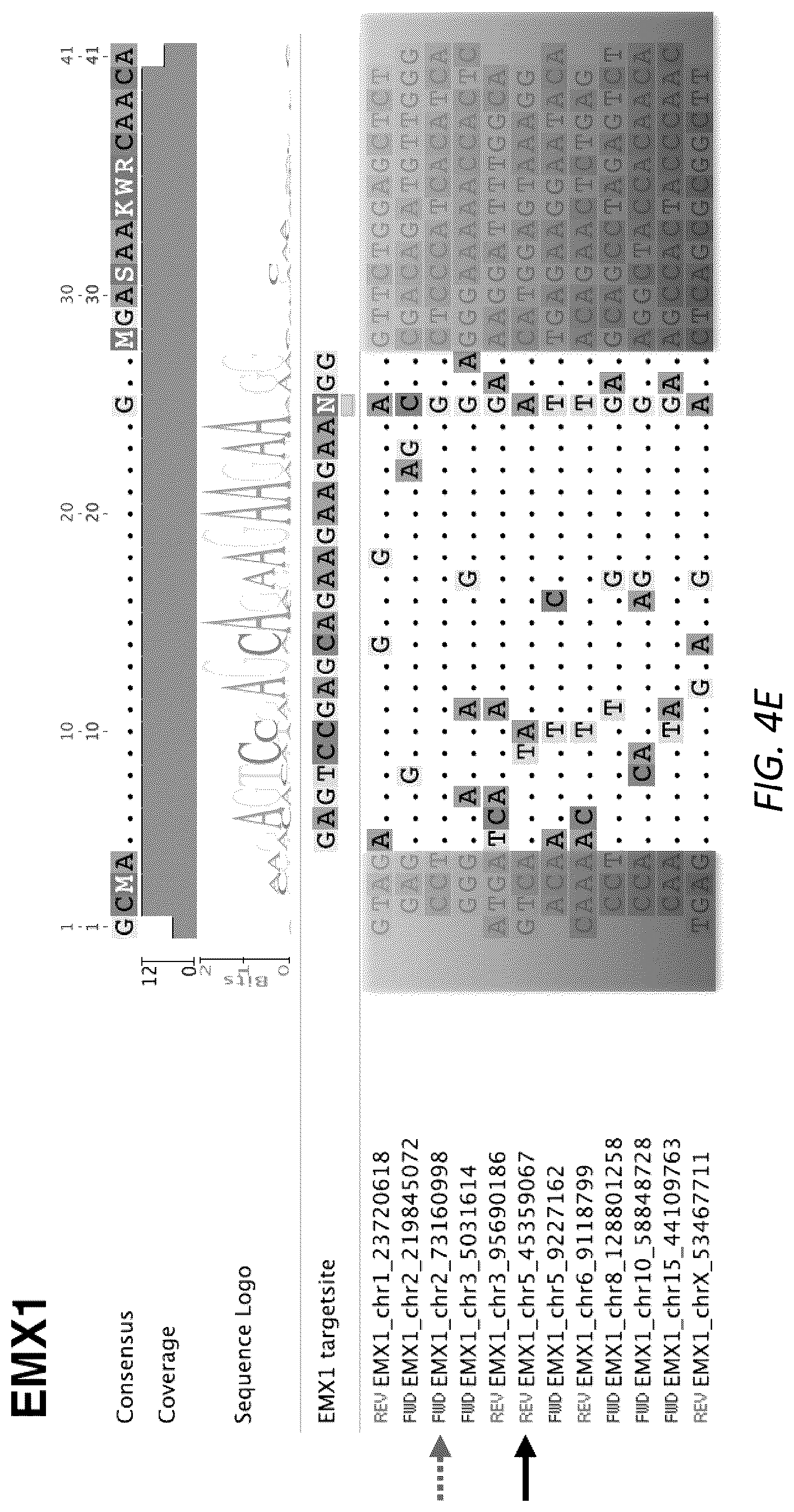 Patent US12104207 Figure 9 – Genomewide unbiased identification of DSBs evaluated by sequencing (GUIDE-Seq)