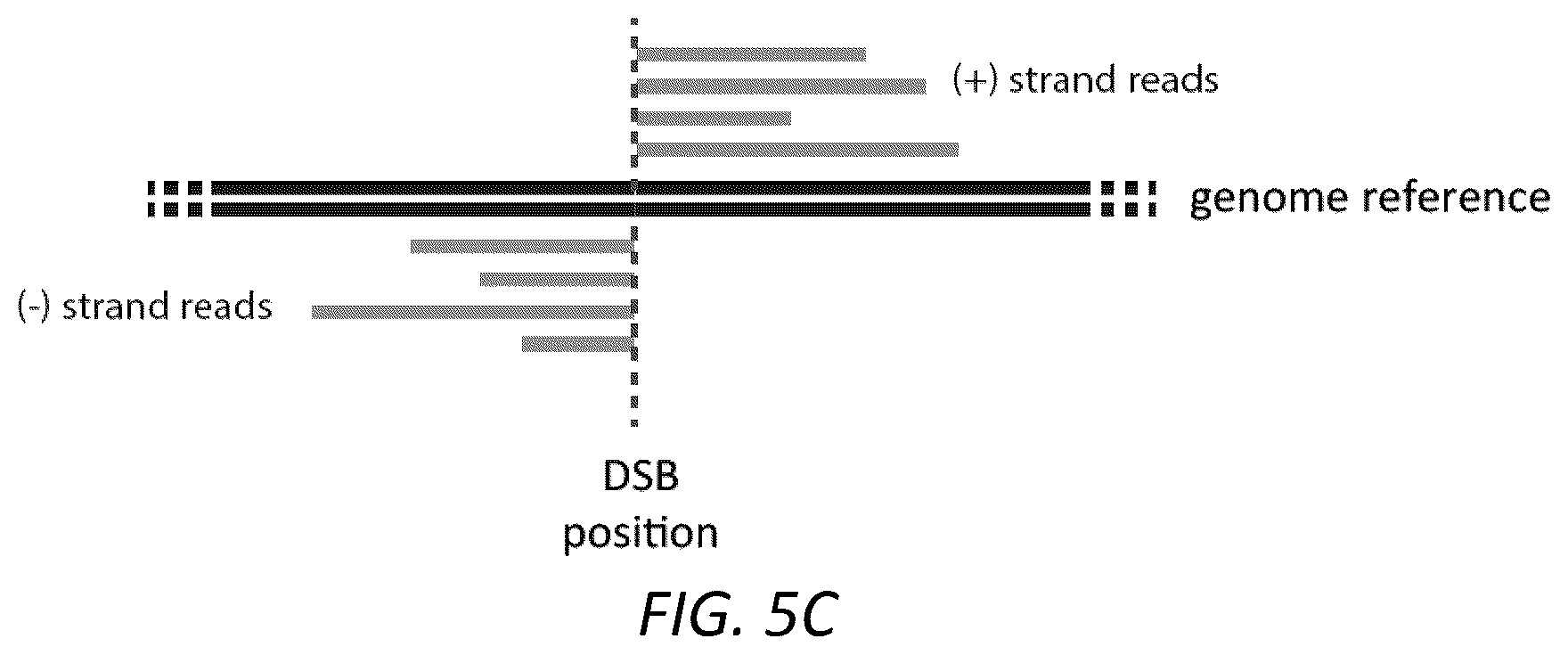 Patent US12104207 Figure 11 – Genomewide unbiased identification of DSBs evaluated by sequencing (GUIDE-Seq)