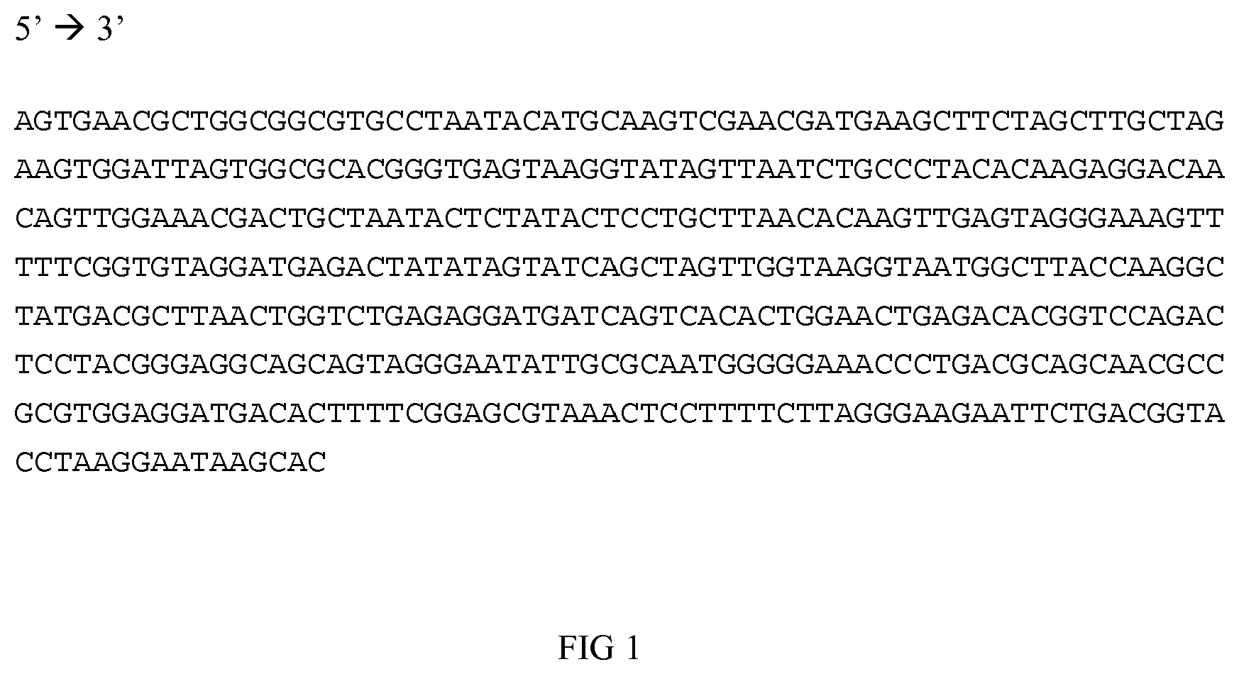 Patent US12104213 Figure 1 – Compositions, kits and methods for detection of campylobacter nucleic acid