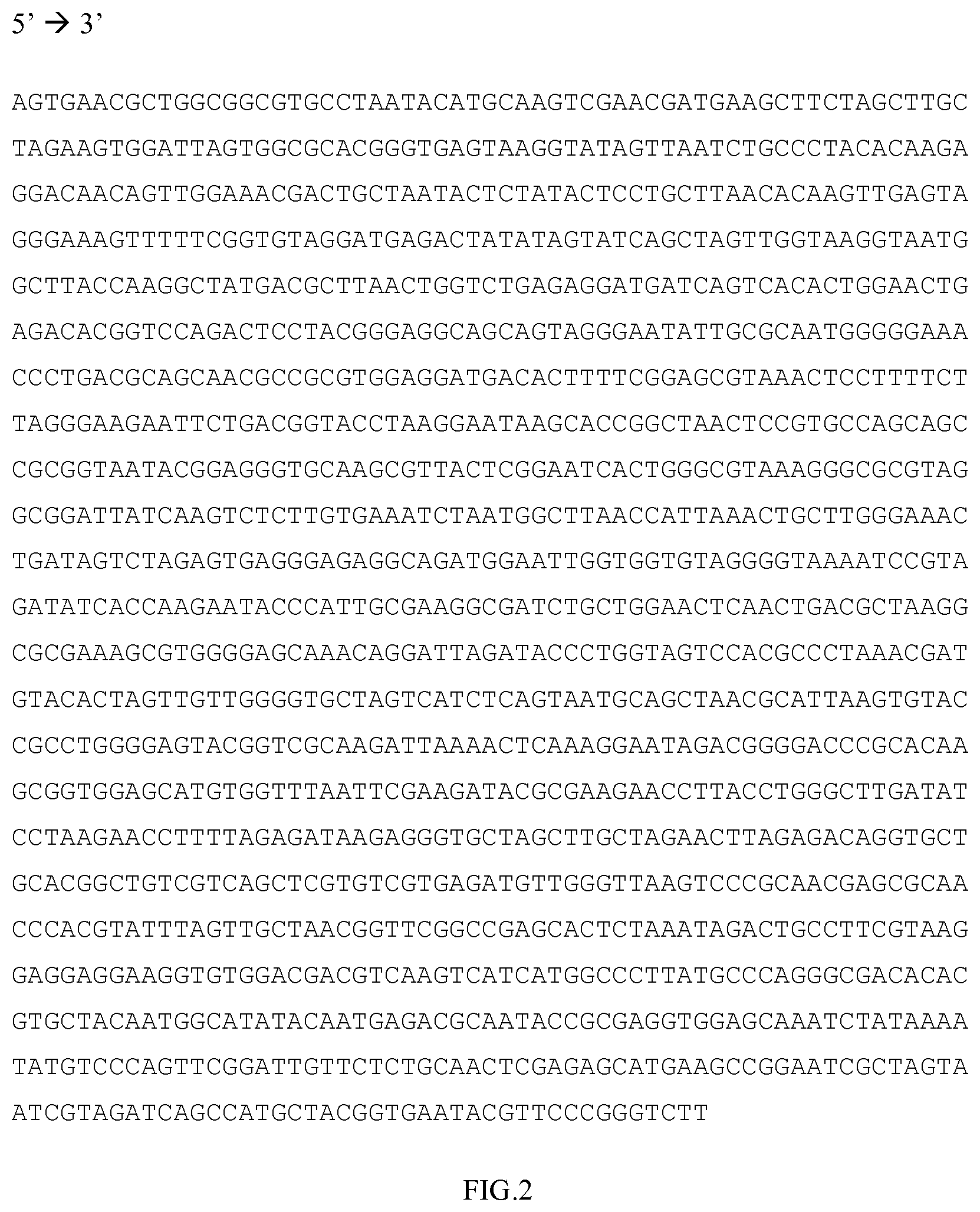 Patent US12104213 Figure 2 – Compositions, kits and methods for detection of campylobacter nucleic acid
