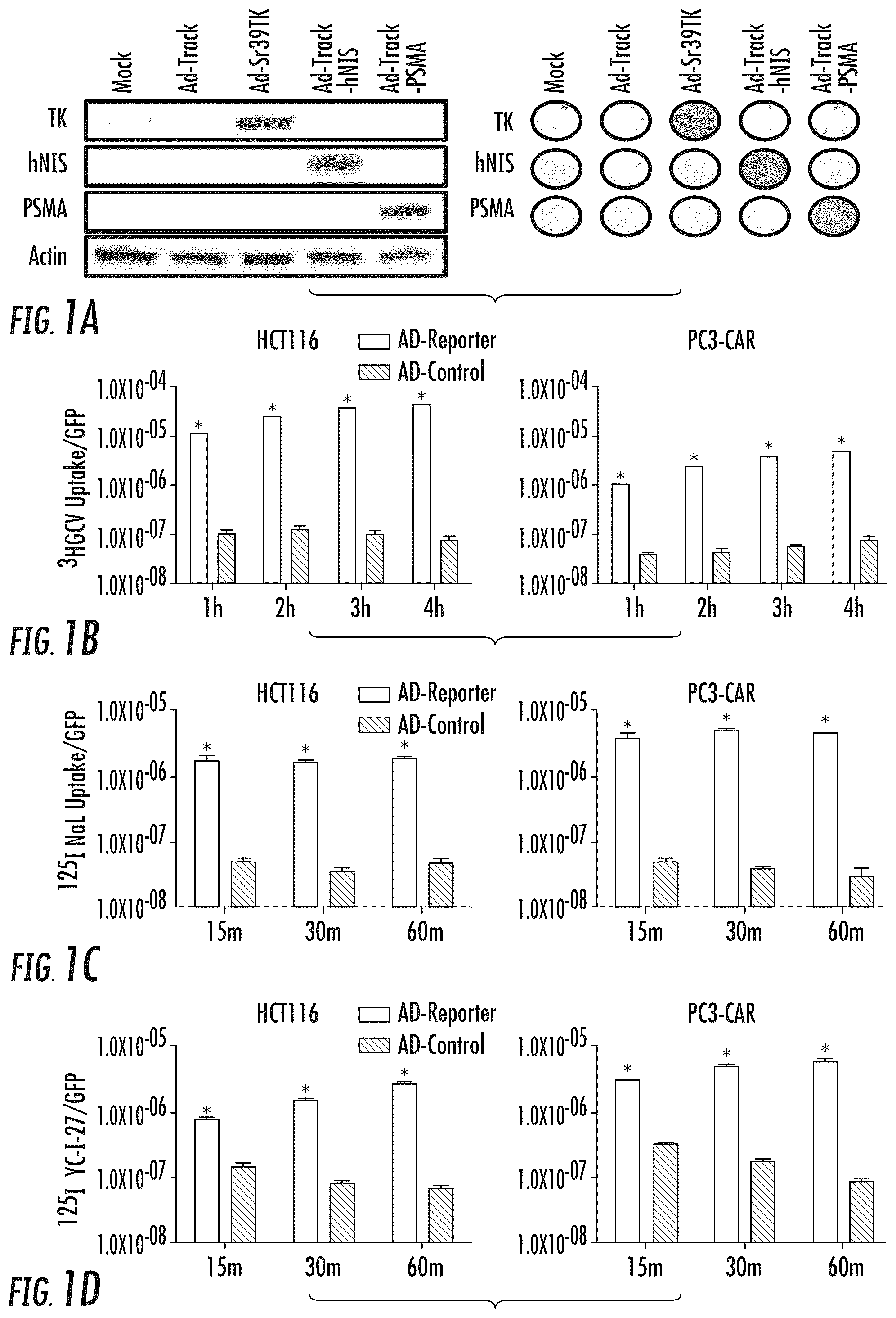 Patent US12104214 Figure 1 – PSMA-based molecular-genetic reporter system
