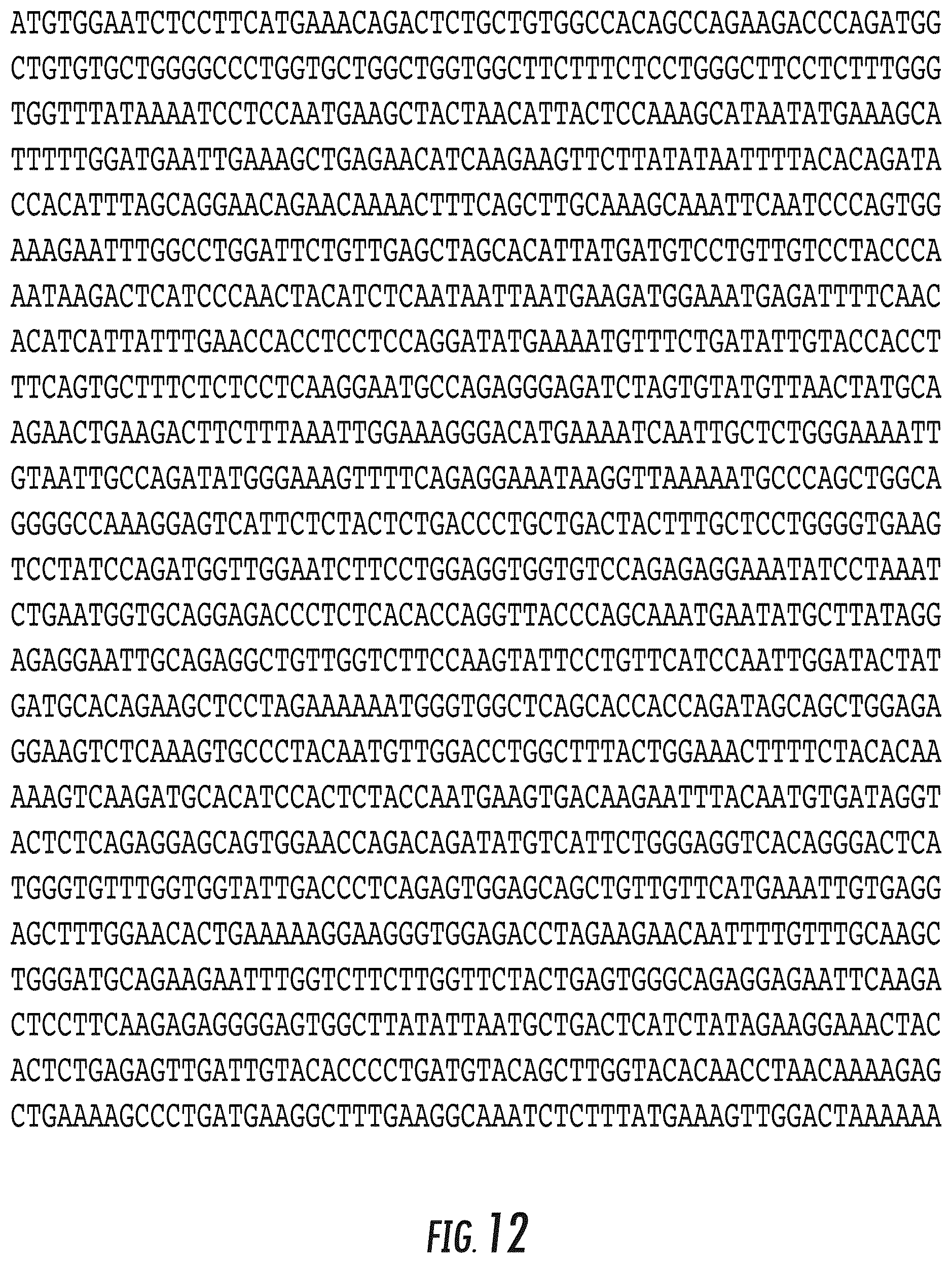 Patent US12104214 Figure 16 – PSMA-based molecular-genetic reporter system