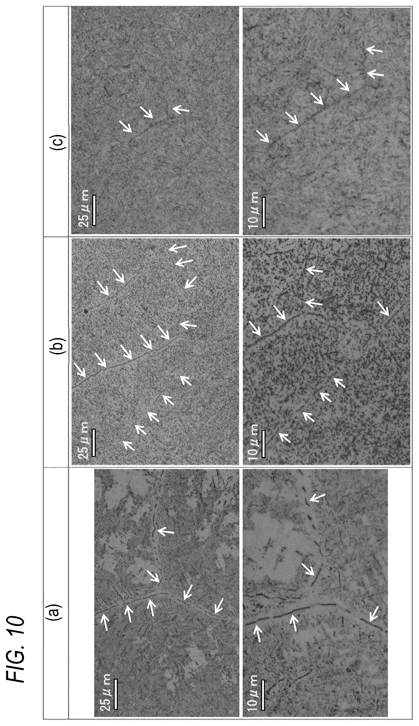 Patent US12104231 Figure 12 – Steel material and steel product using the same