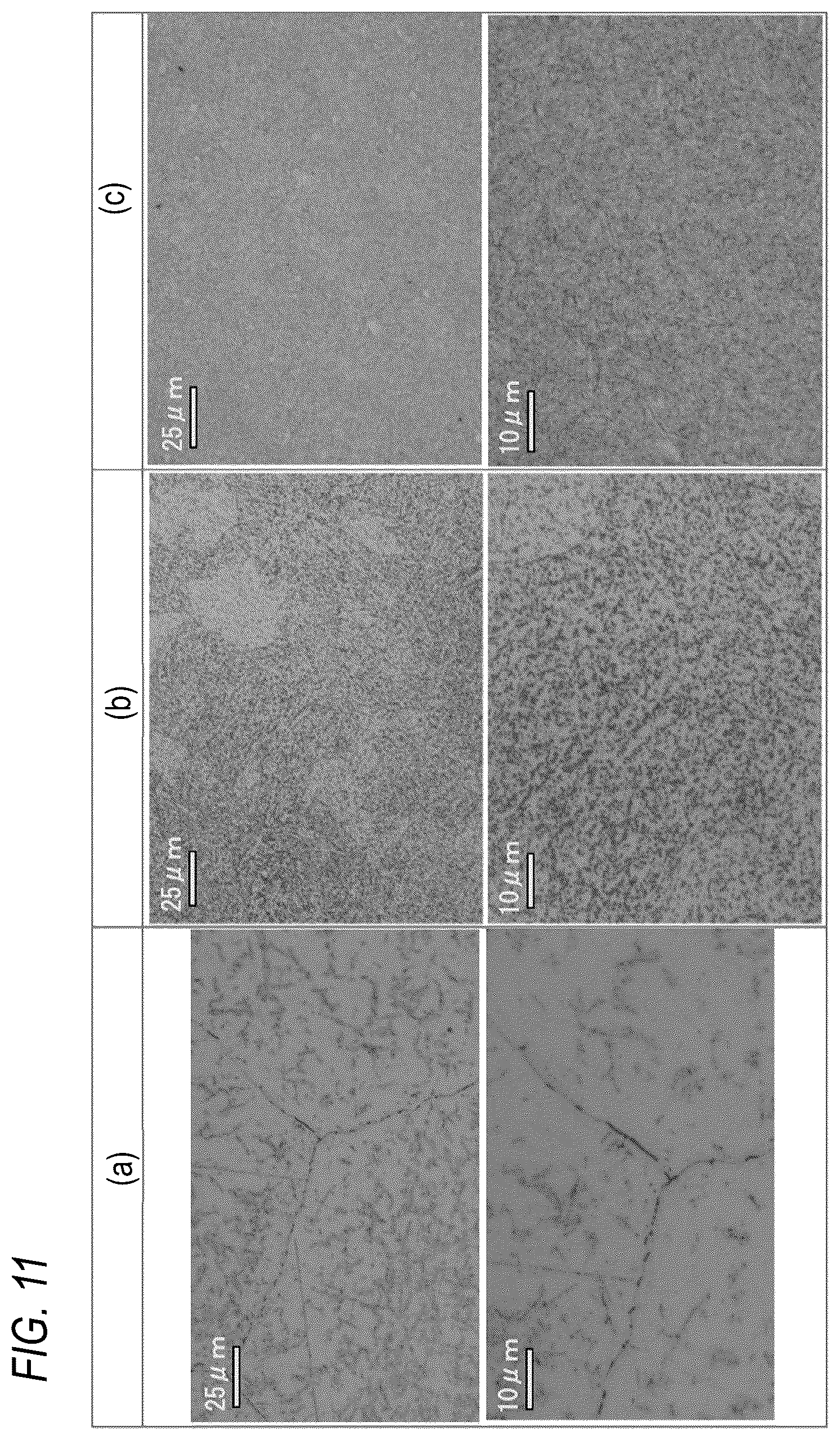 Patent US12104231 Figure 13 – Steel material and steel product using the same