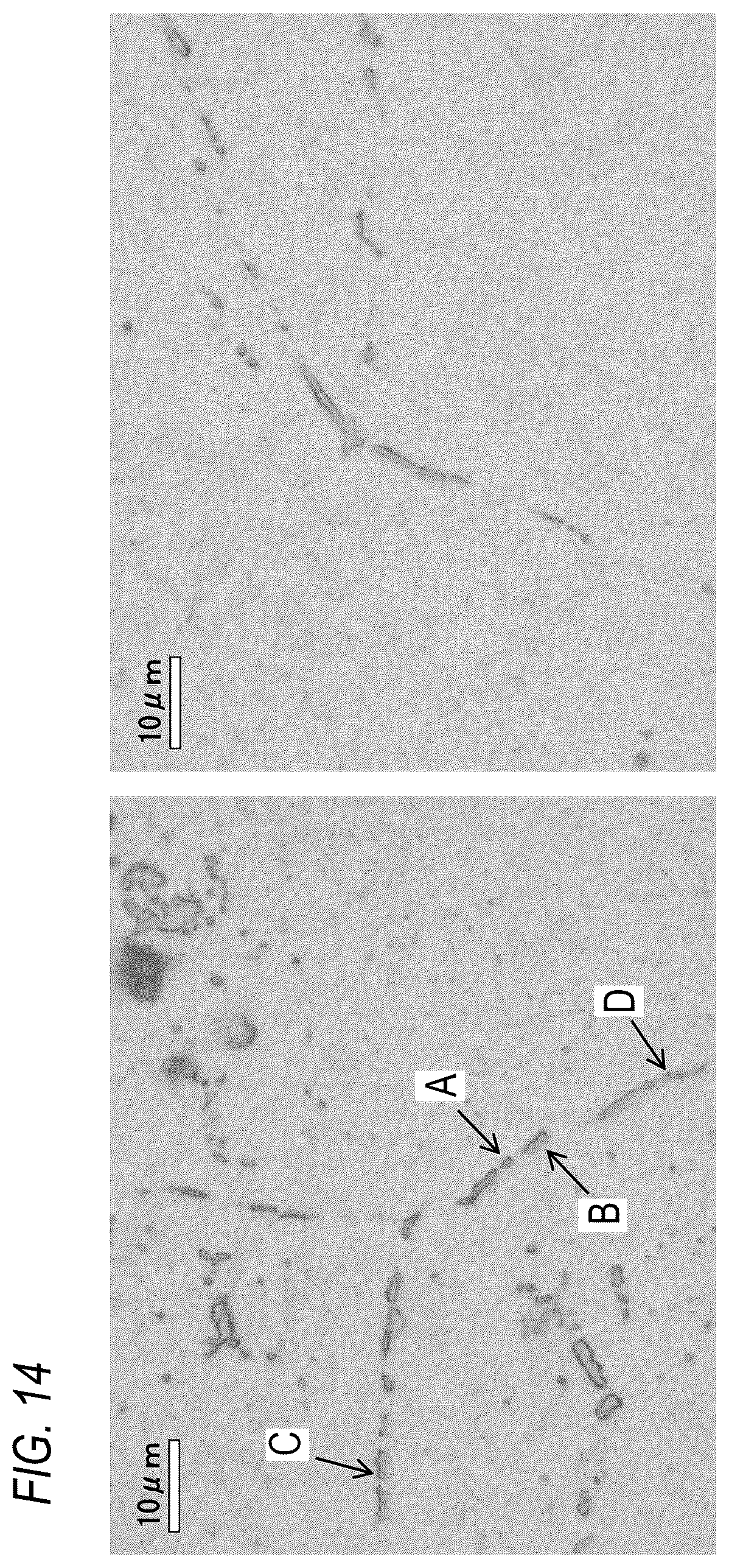 Patent US12104231 Figure 16 – Steel material and steel product using the same