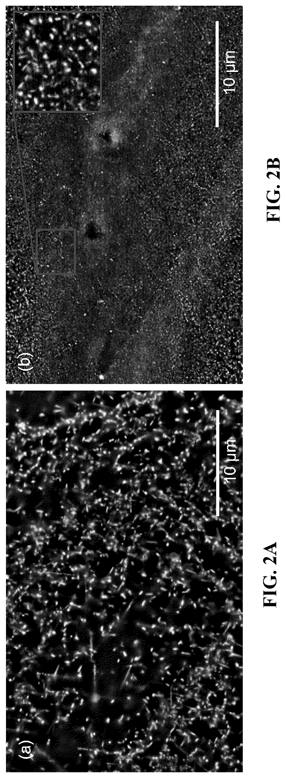 Patent US12104237 Figure 2 – Ultra-strong aluminum alloys for ambient and high-temperature applications