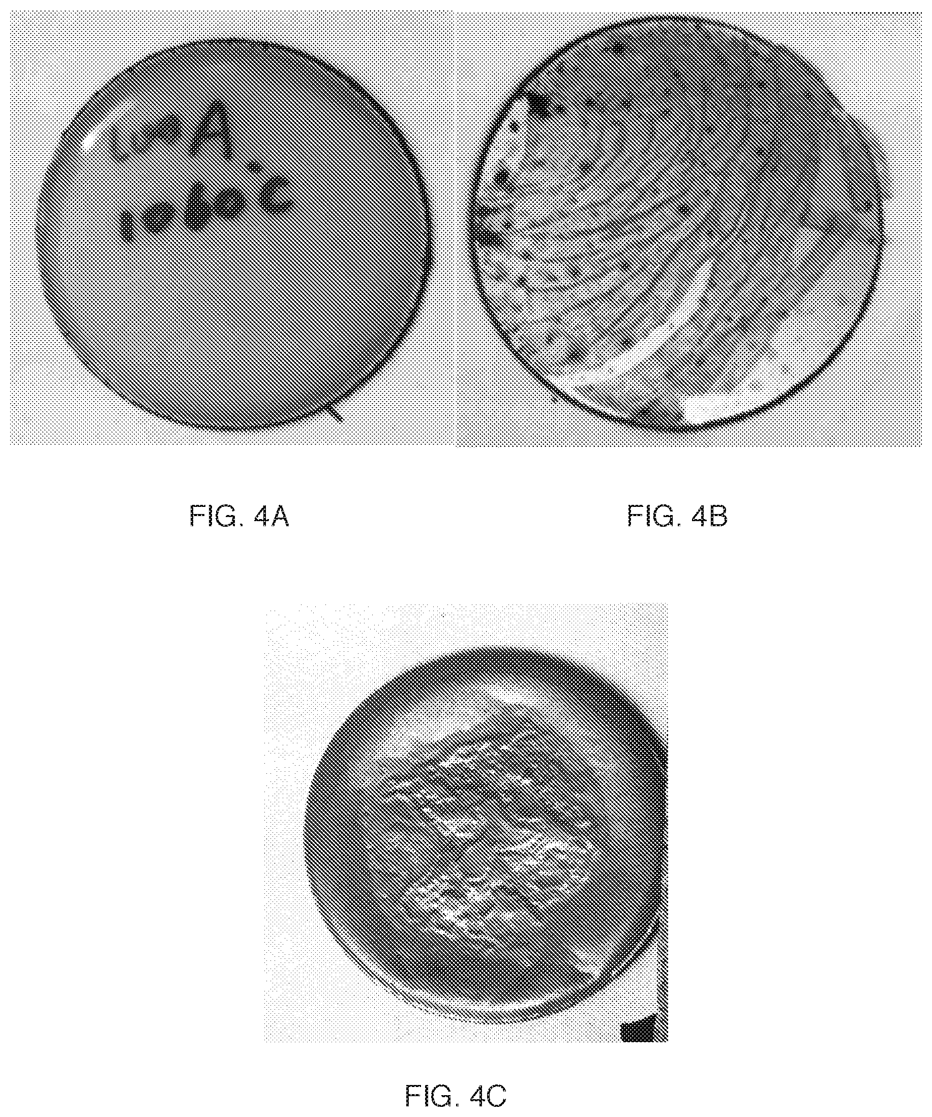 Patent US12104256 Figure 3 – Chemical method to decrease oxide scale generation in hot rolling