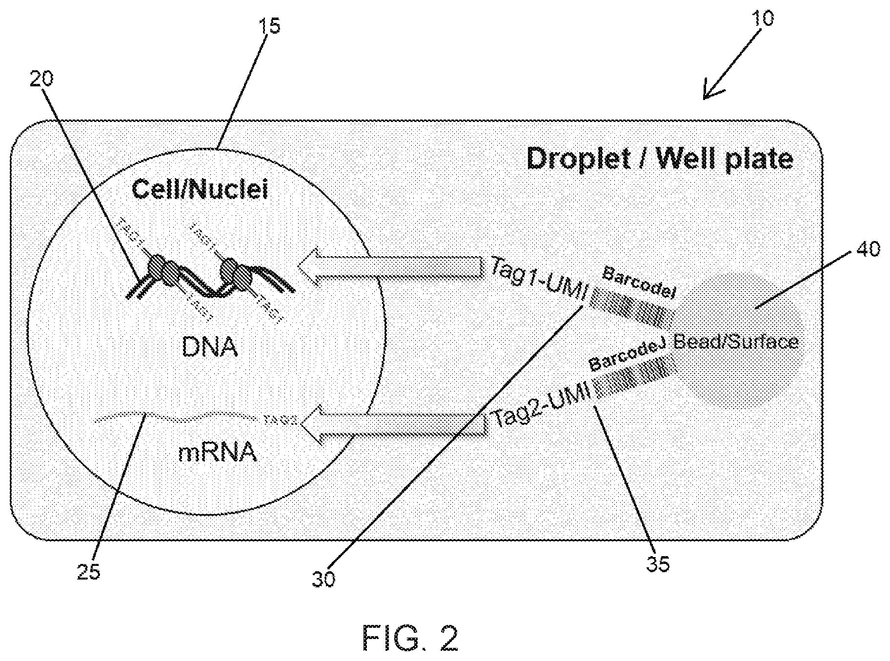 Patent US12104281 Figure 3 – Analysis of multiple analytes using a single assay