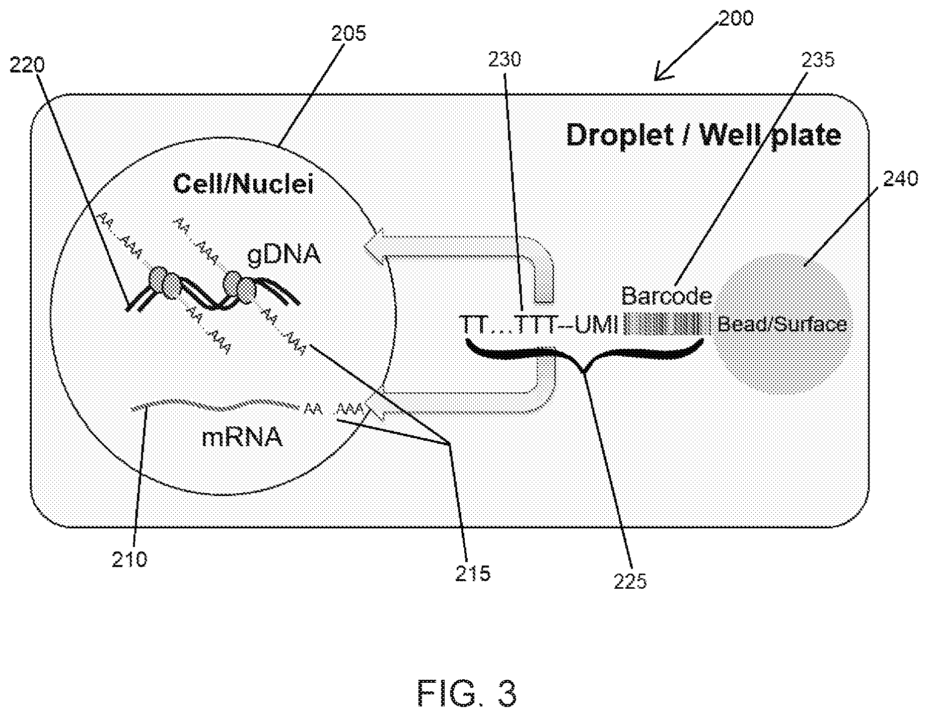 Patent US12104281 Figure 4 – Analysis of multiple analytes using a single assay