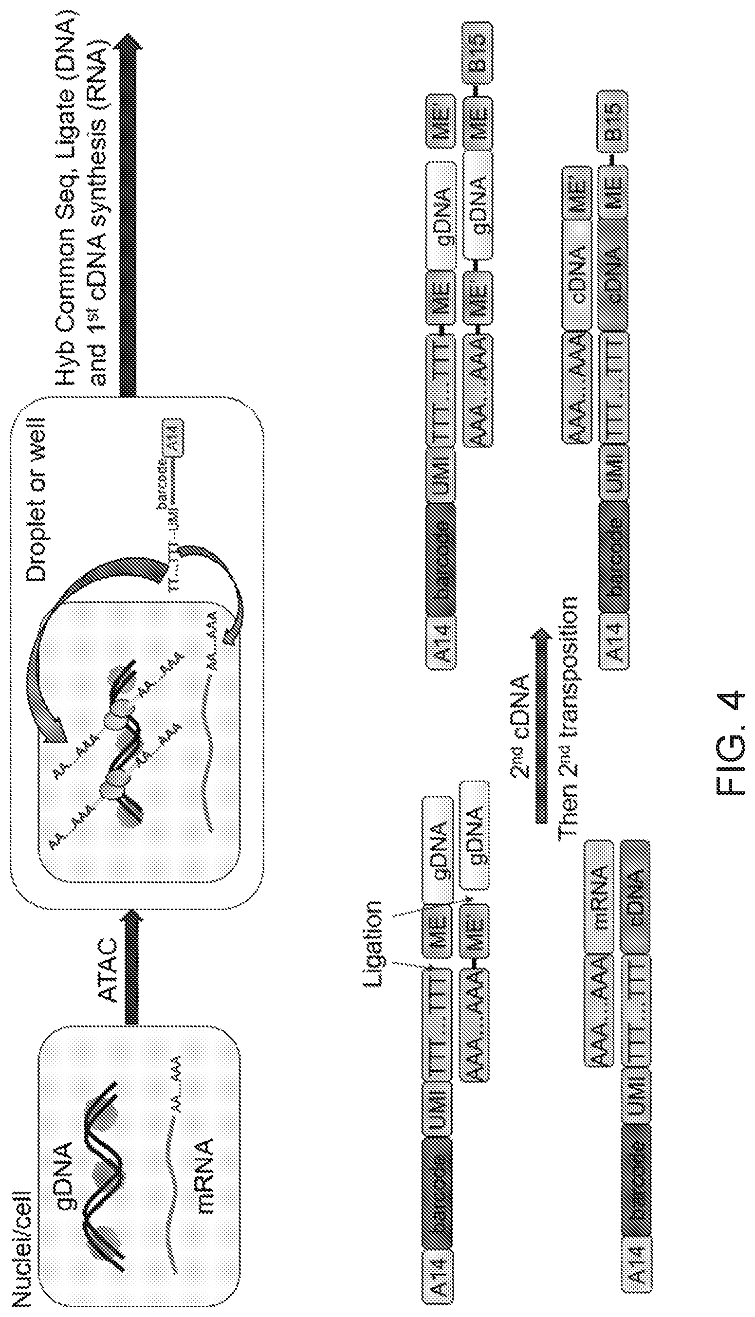 Patent US12104281 Figure 5 – Analysis of multiple analytes using a single assay