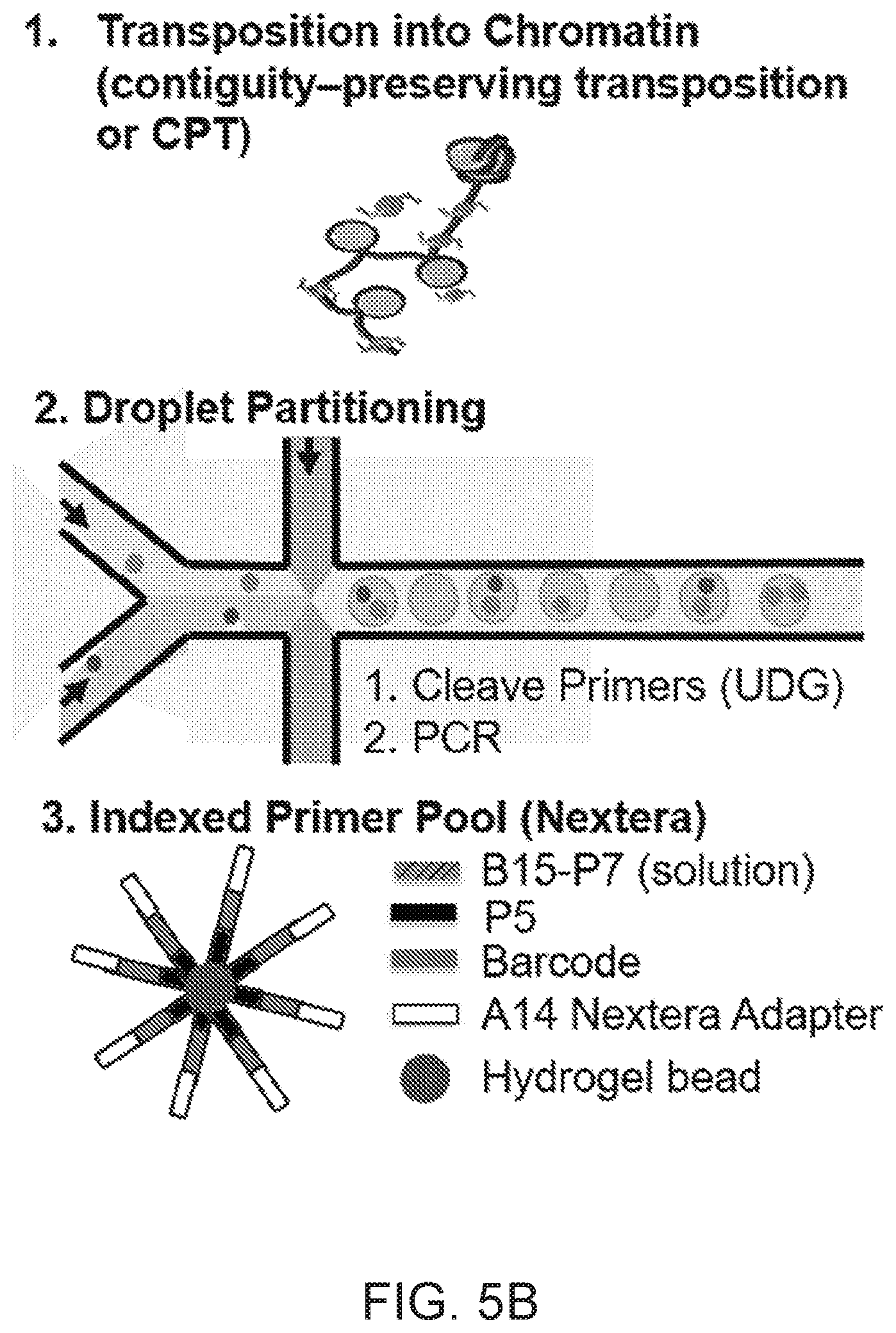 Patent US12104281 Figure 7 – Analysis of multiple analytes using a single assay
