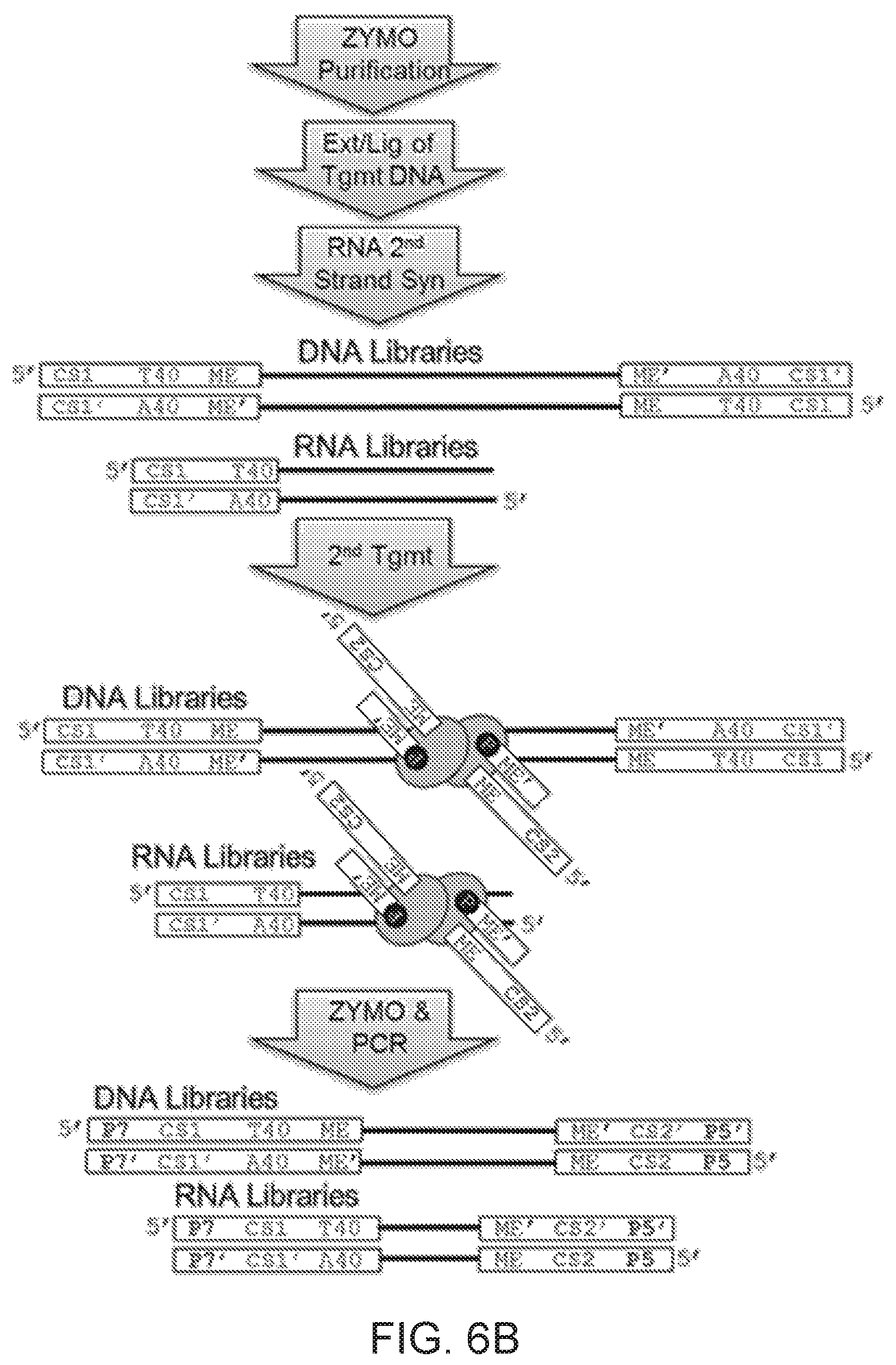 Patent US12104281 Figure 9 – Analysis of multiple analytes using a single assay