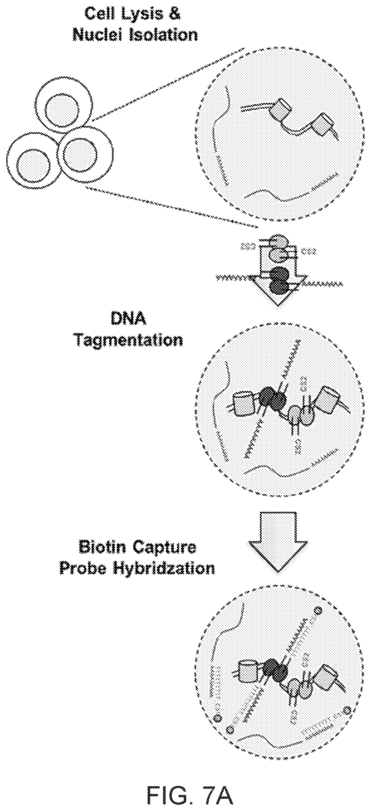 Patent US12104281 Figure 10 – Analysis of multiple analytes using a single assay