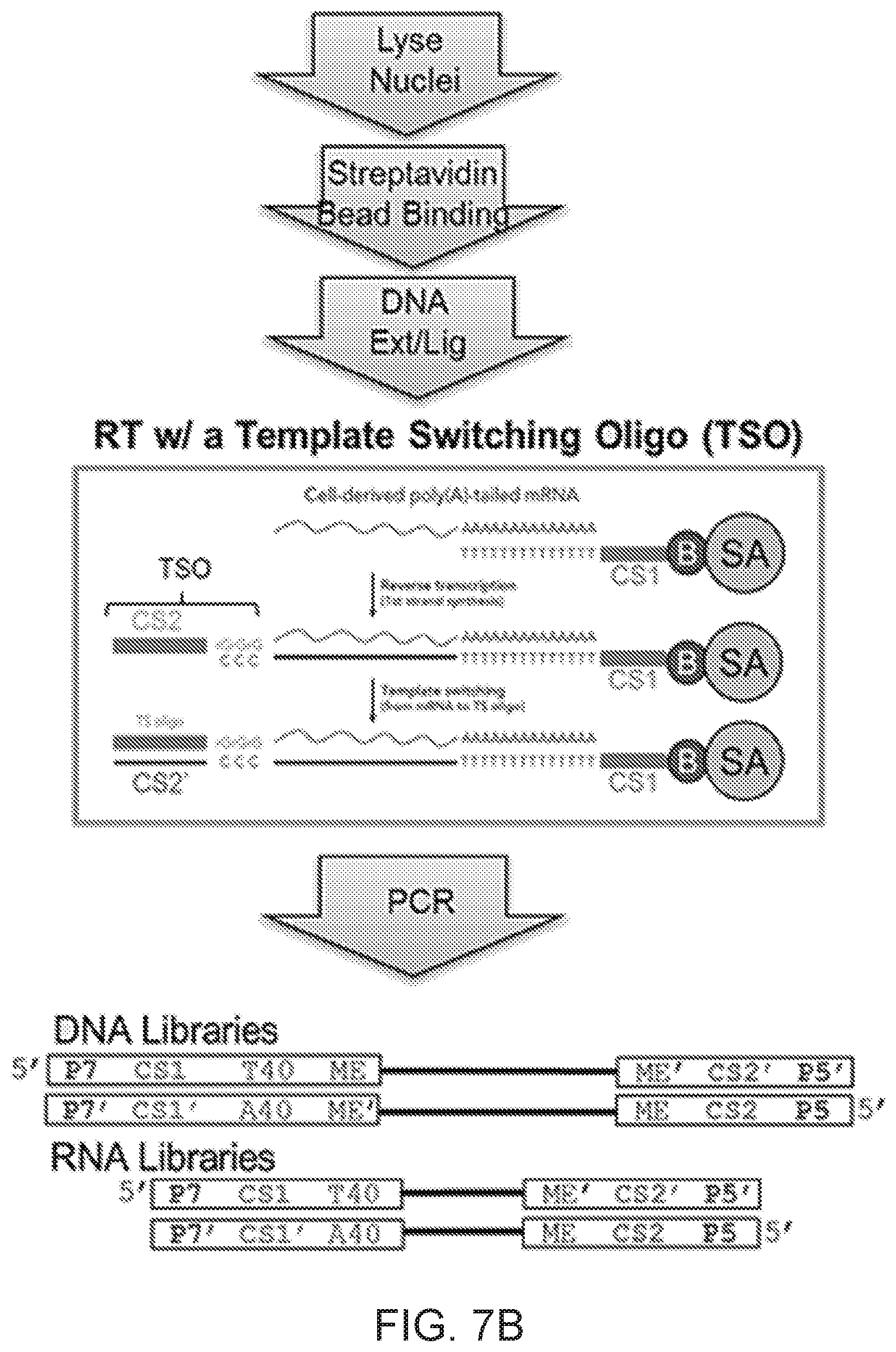 Patent US12104281 Figure 11 – Analysis of multiple analytes using a single assay