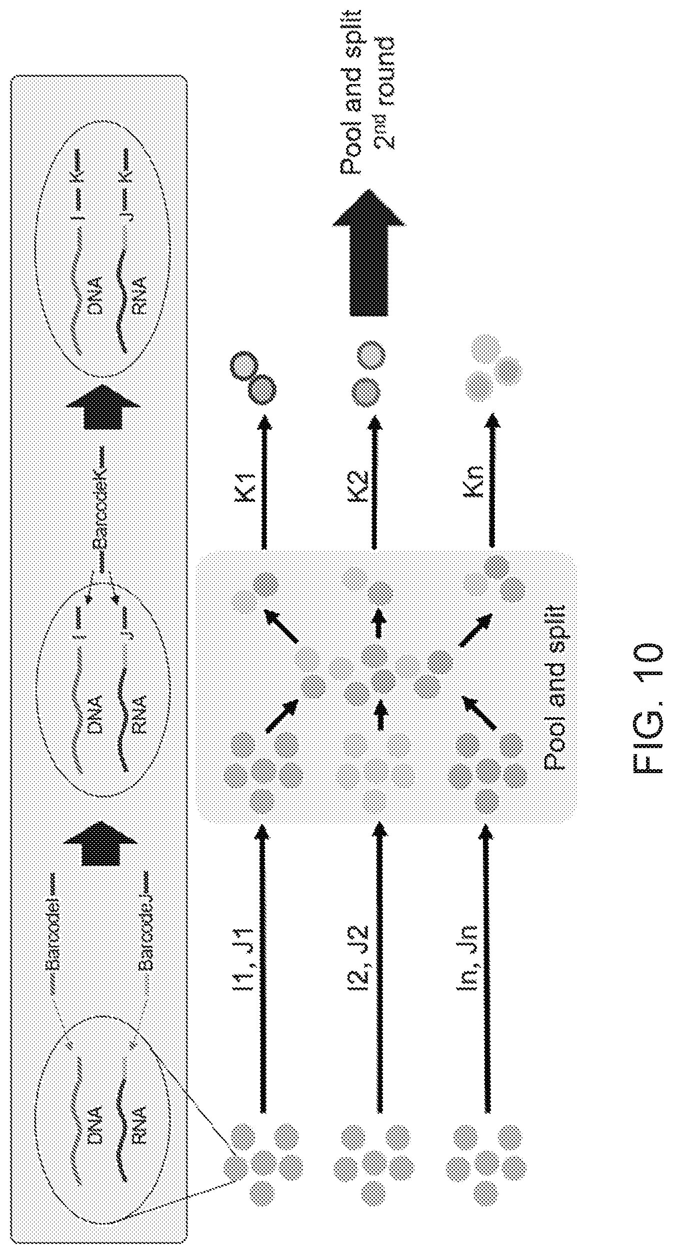 Patent US12104281 Figure 14 – Analysis of multiple analytes using a single assay