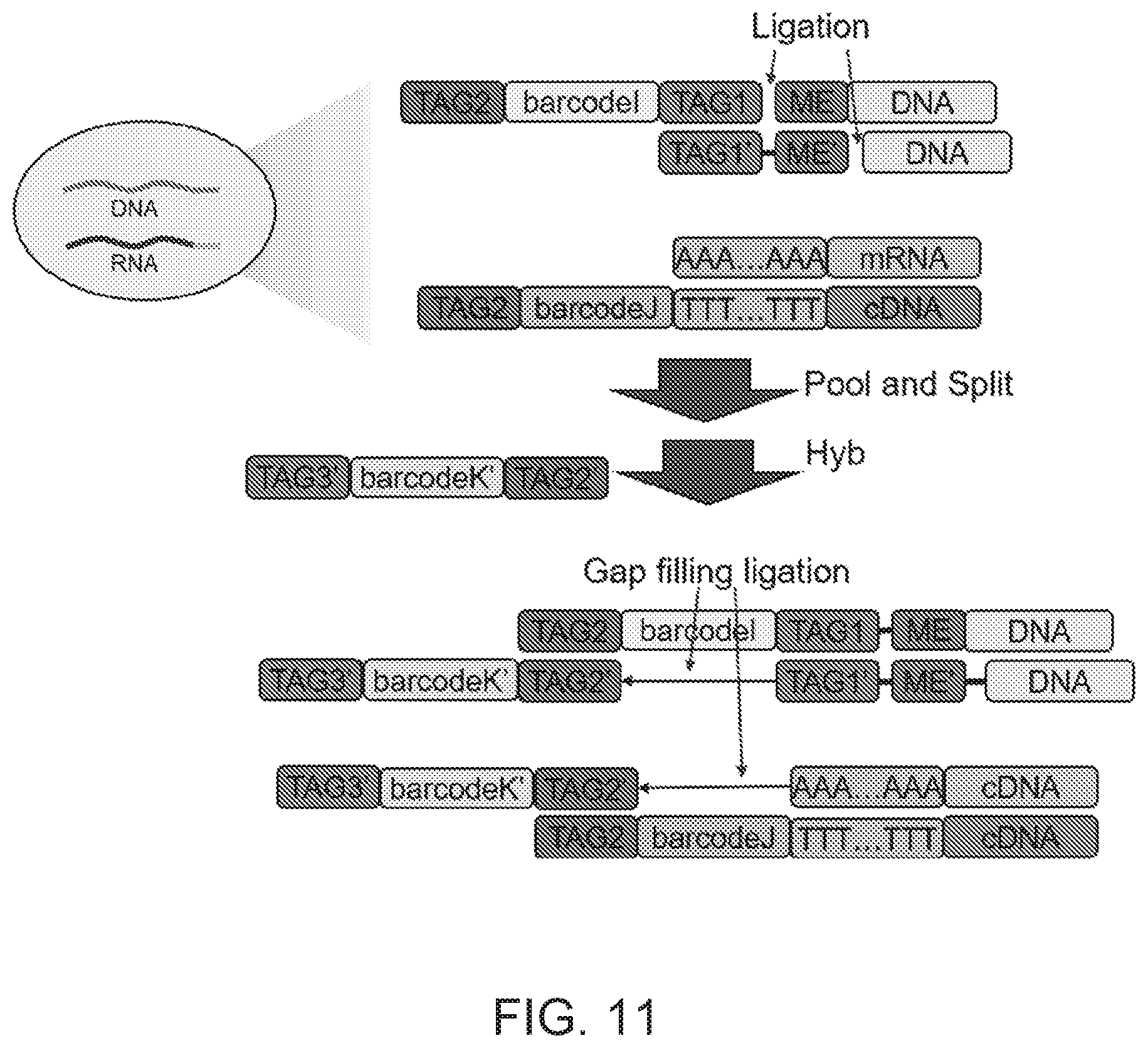 Patent US12104281 Figure 15 – Analysis of multiple analytes using a single assay