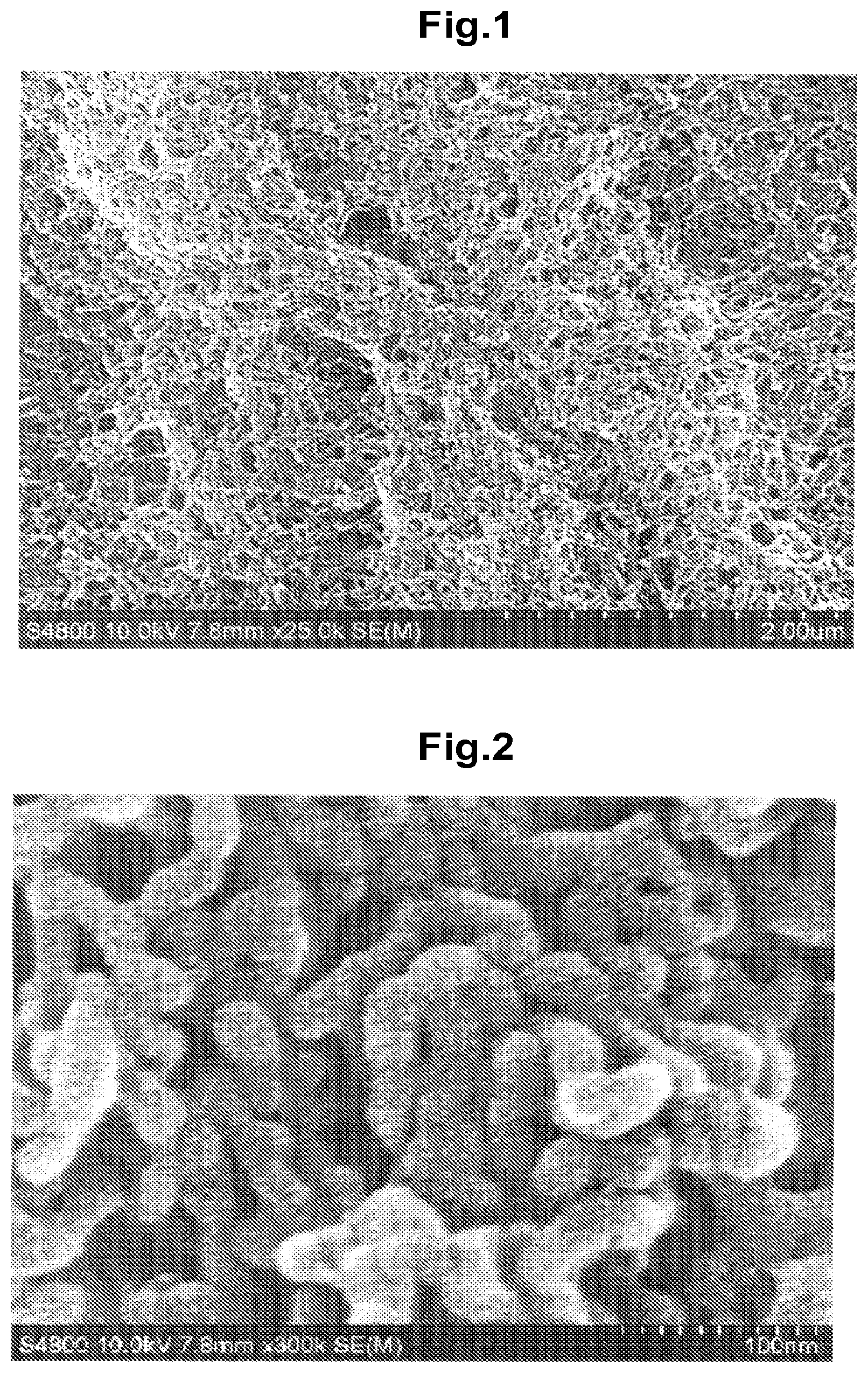 Patent US12104283 — Networked polymeric nanofibers, process for producing same, gas adsorbent, and gas separation material — Figure 1