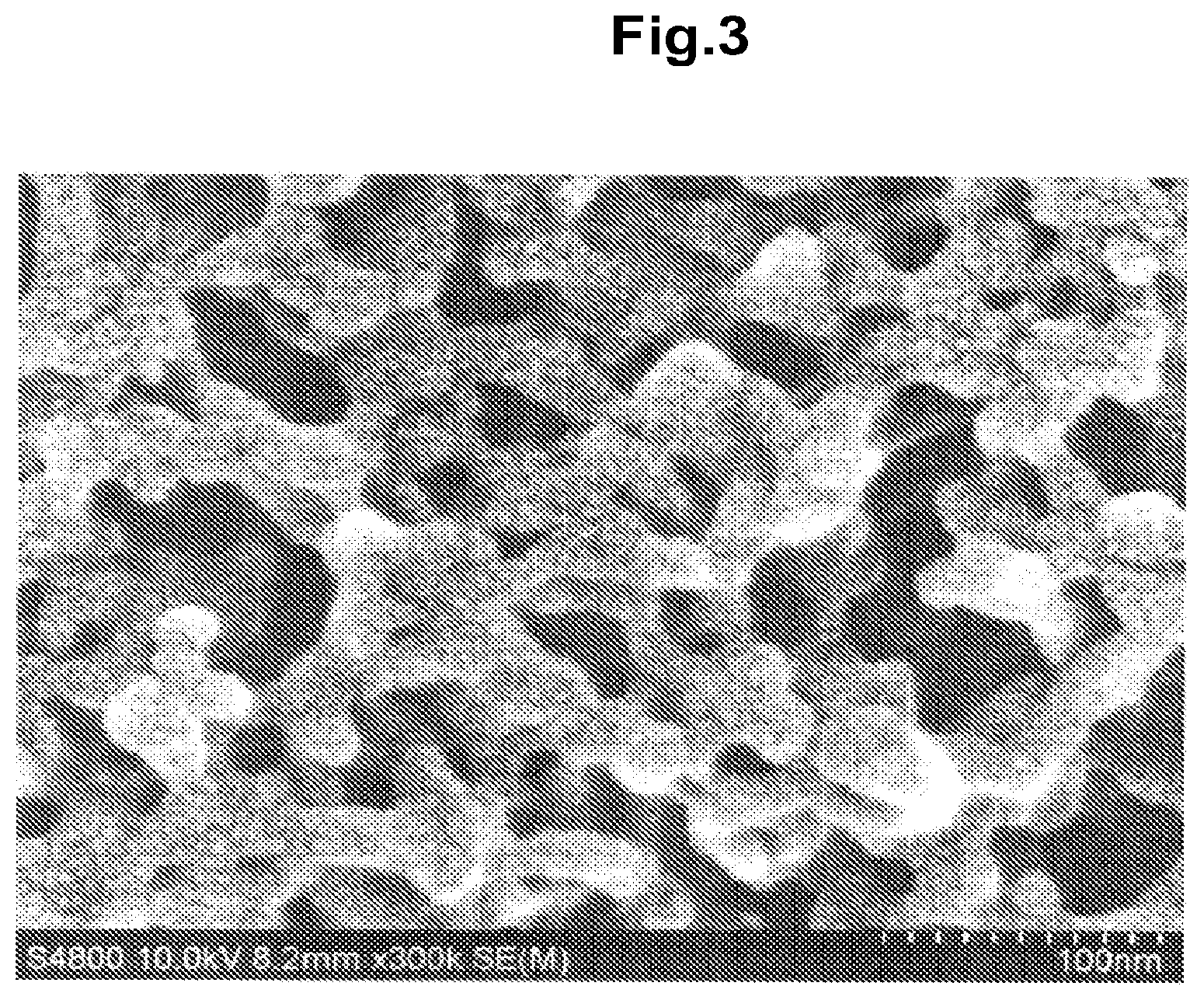 Patent US12104283 Figure 2 – Networked polymeric nanofibers, process for producing same, gas adsorbent, and gas separation material